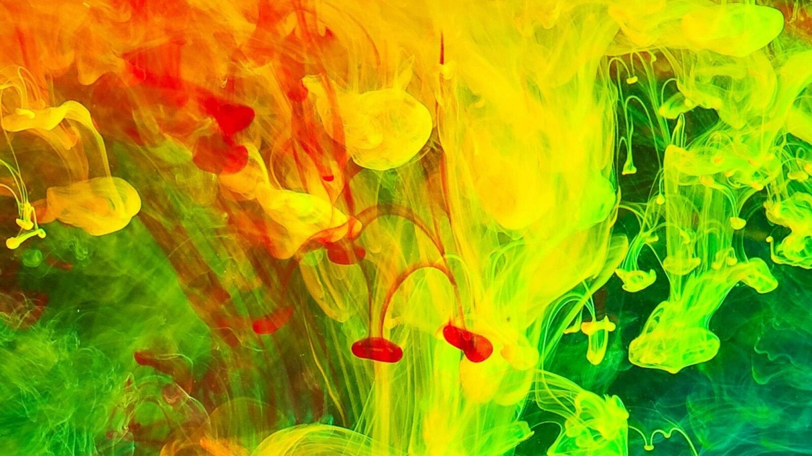 Краска растворяется в воде обои