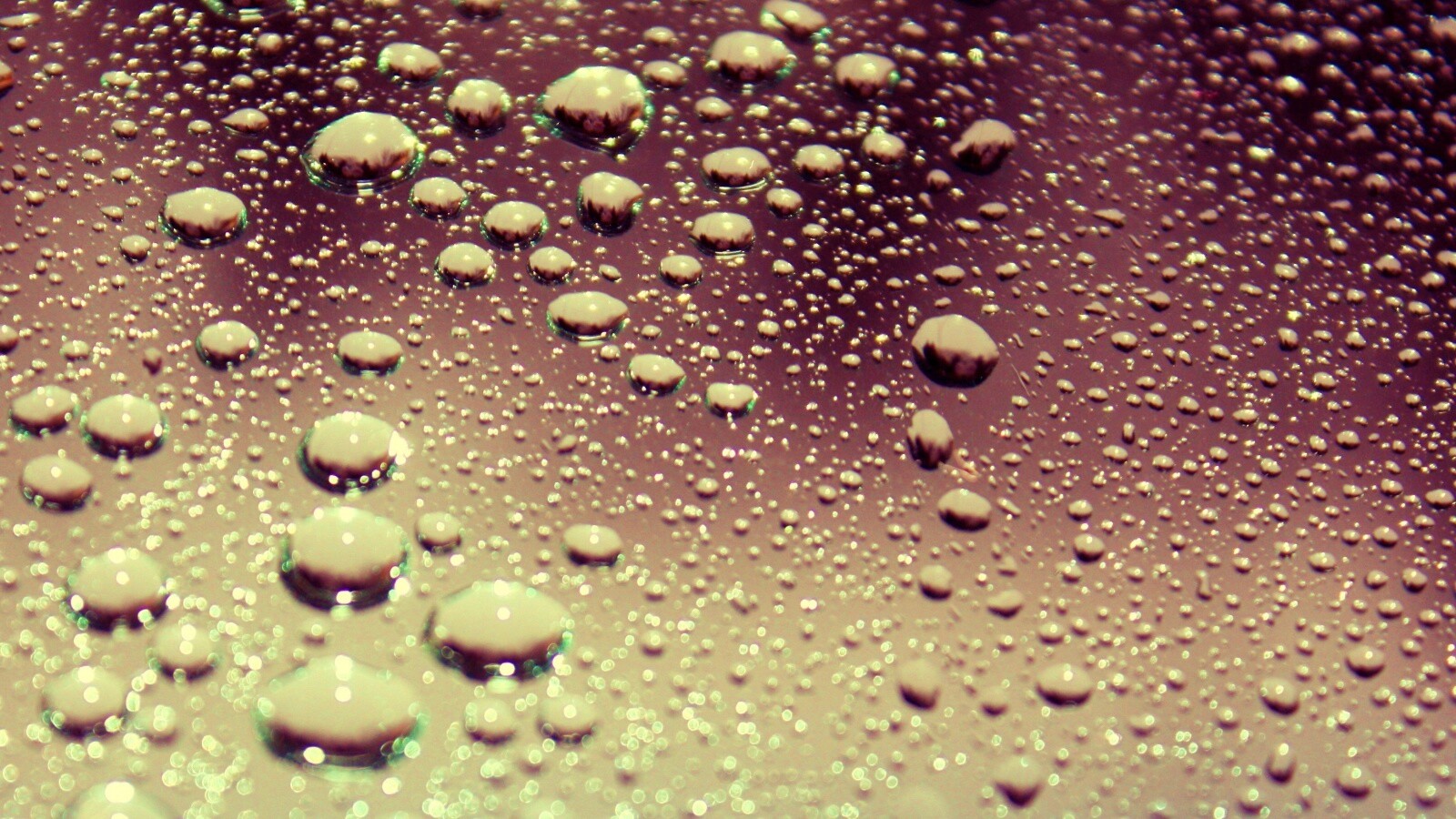 Капли воды на поверхности стекла обои