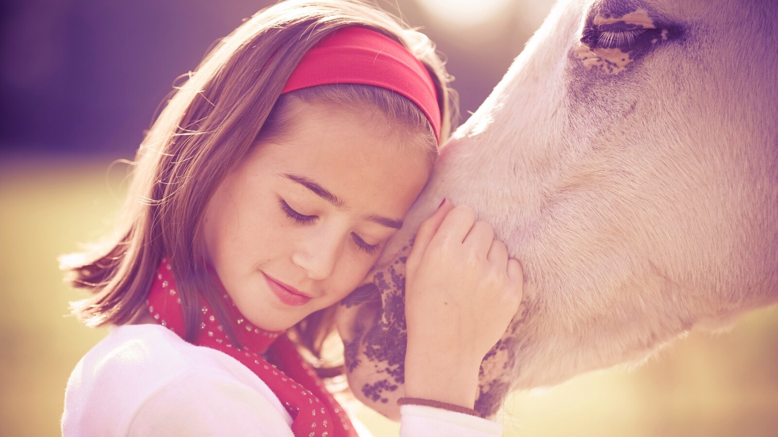 Девочка и лошадь обои
