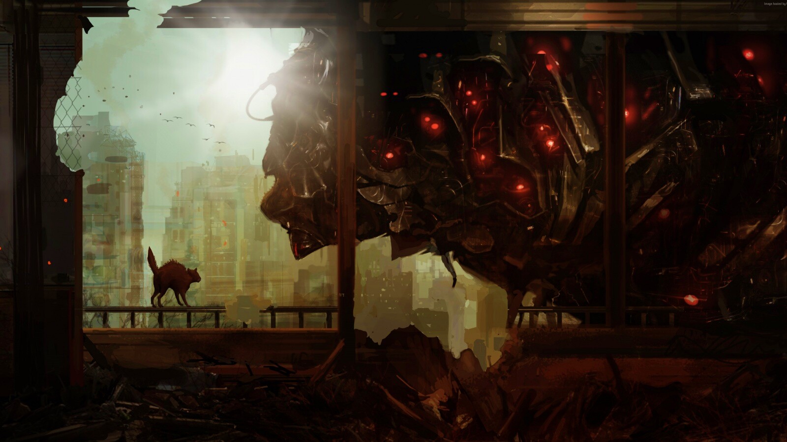 Кошкино удивление обои