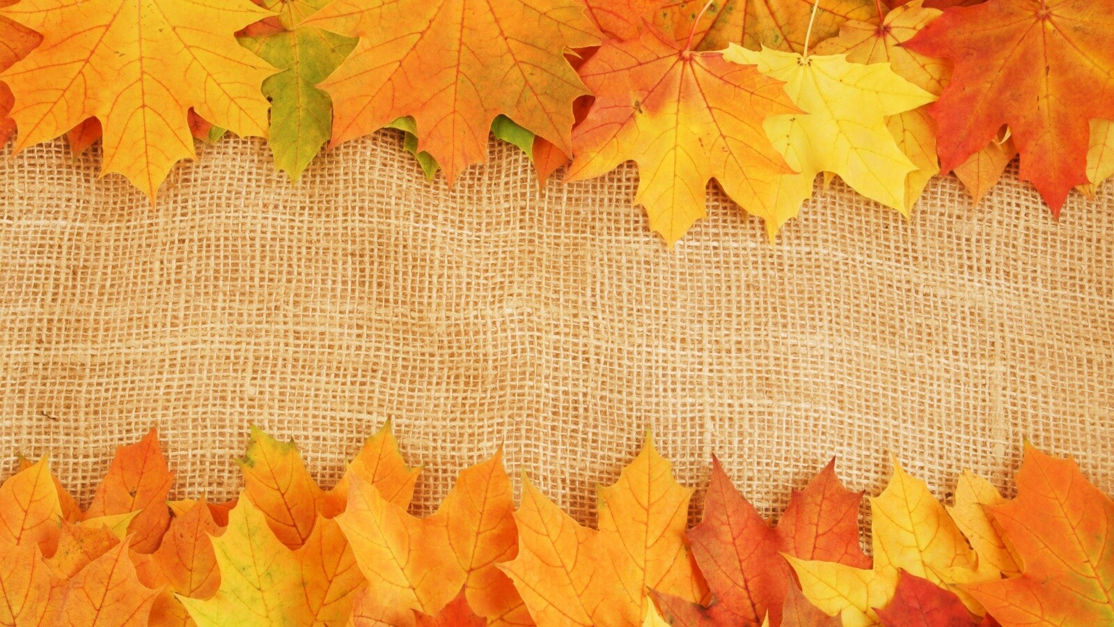 Желтые кленовые листья на холсте обои