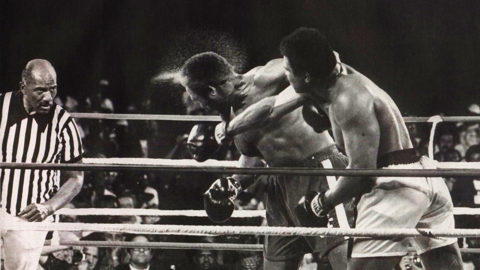 Чемпион по боксу Мохаммед Али обои