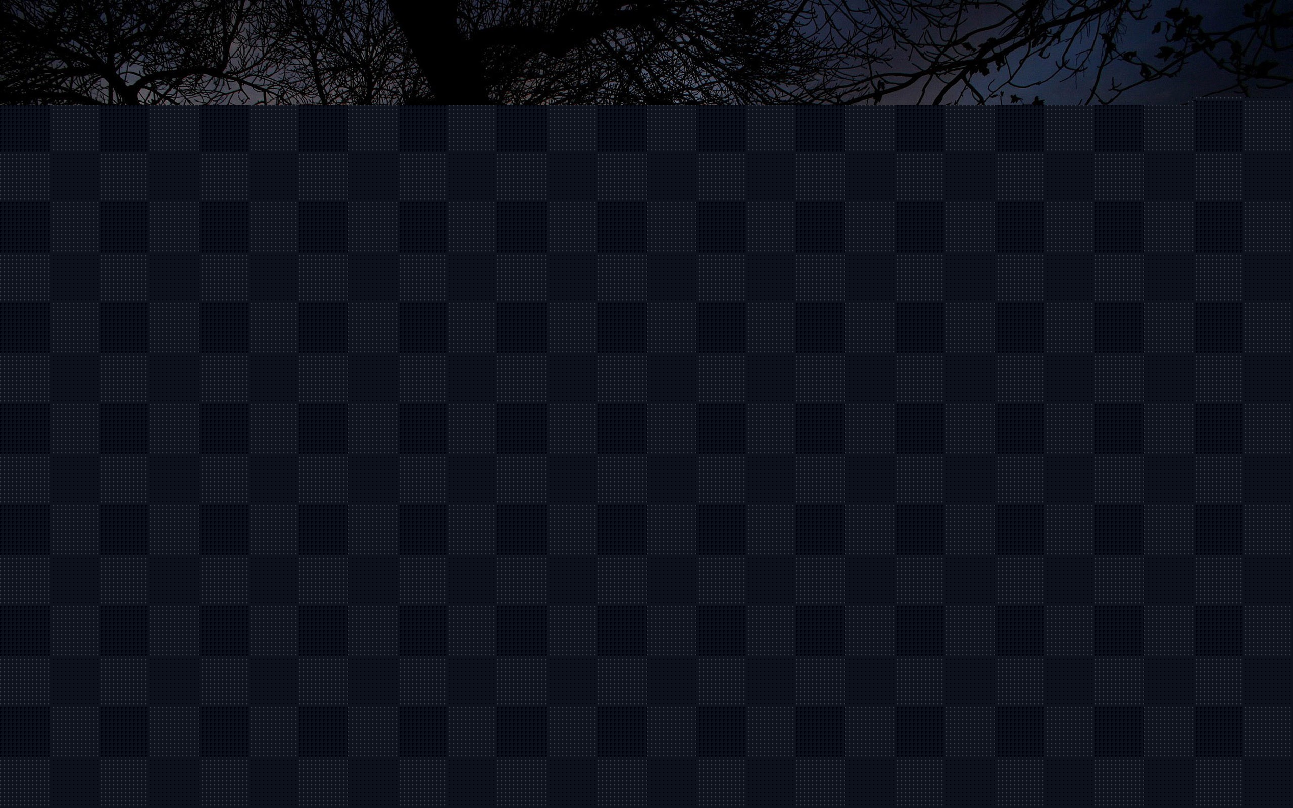 Одинокое дерево обои