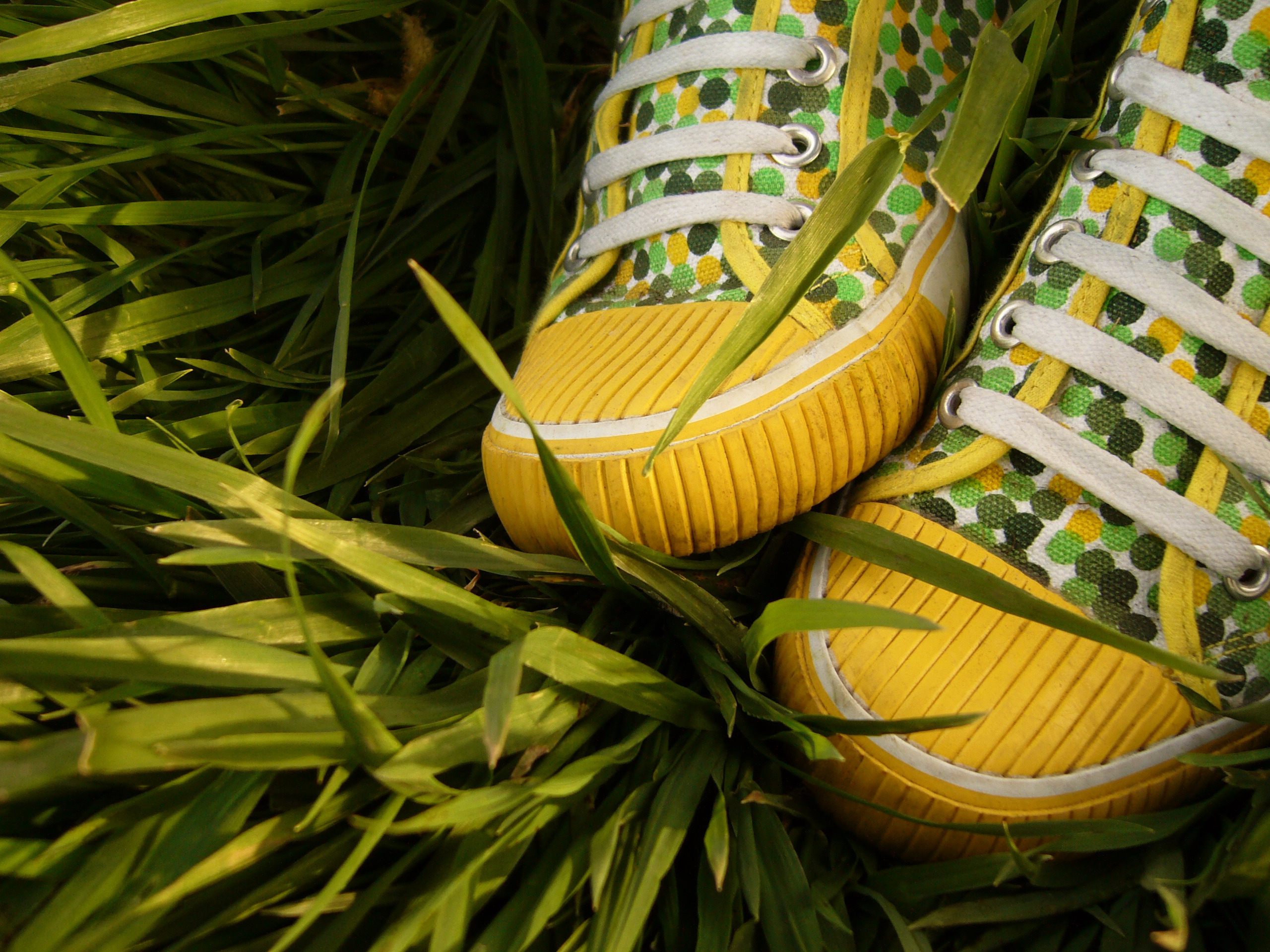 Желтые кеды в горошек обои