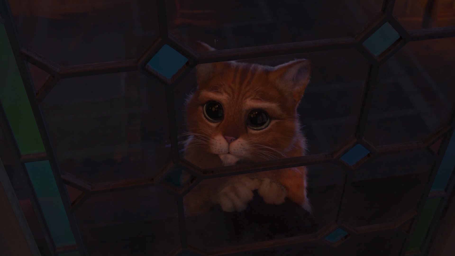 Кот в сапогах обои