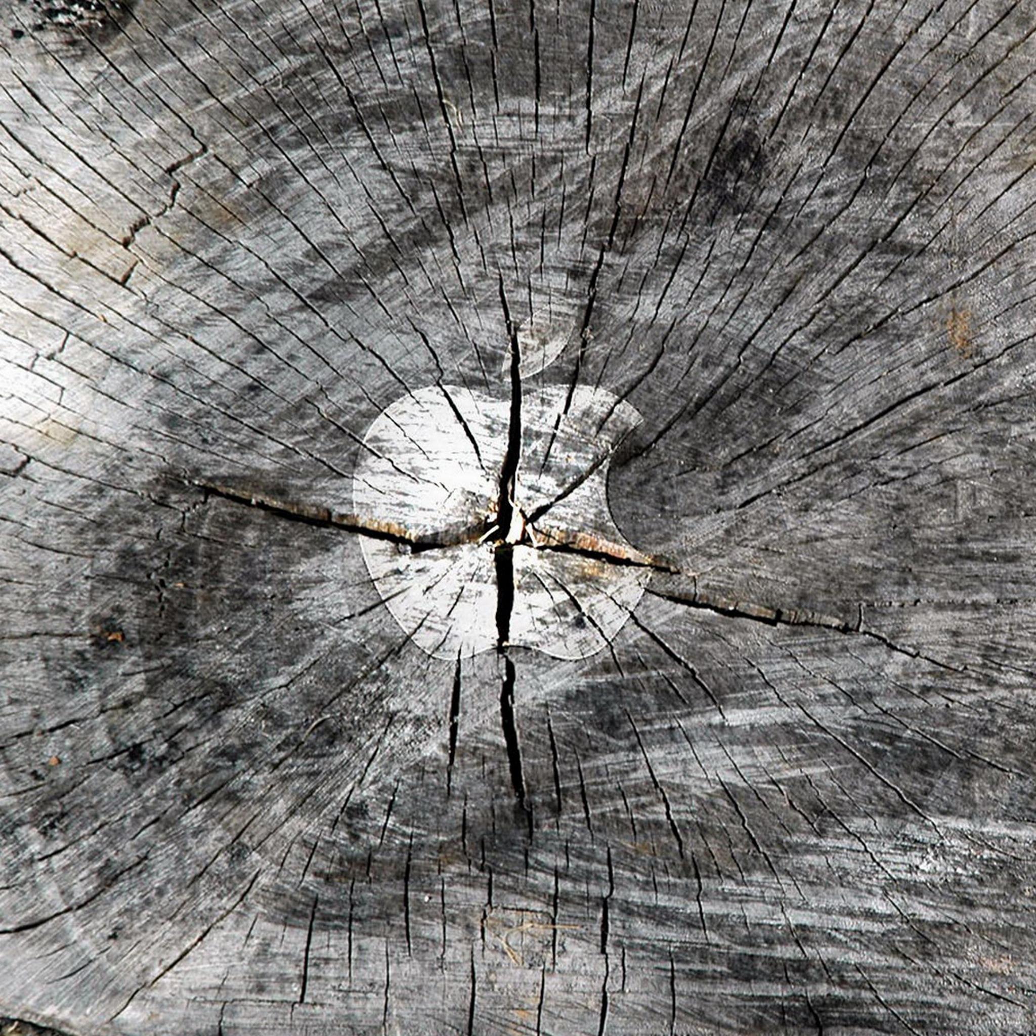 Логотип Apple на бревне обои