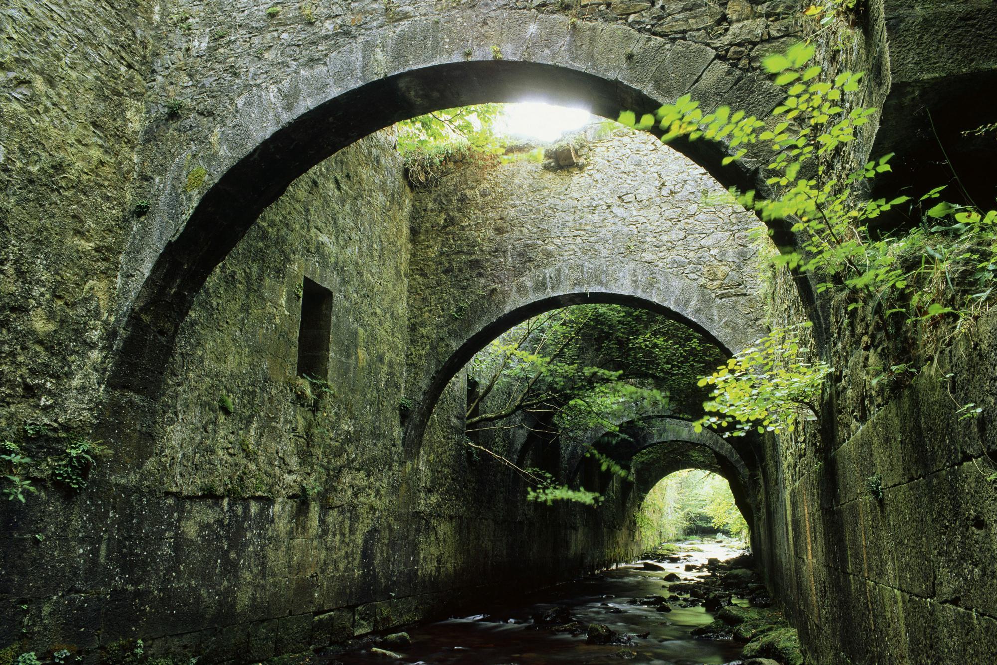 Заросшие стены обои