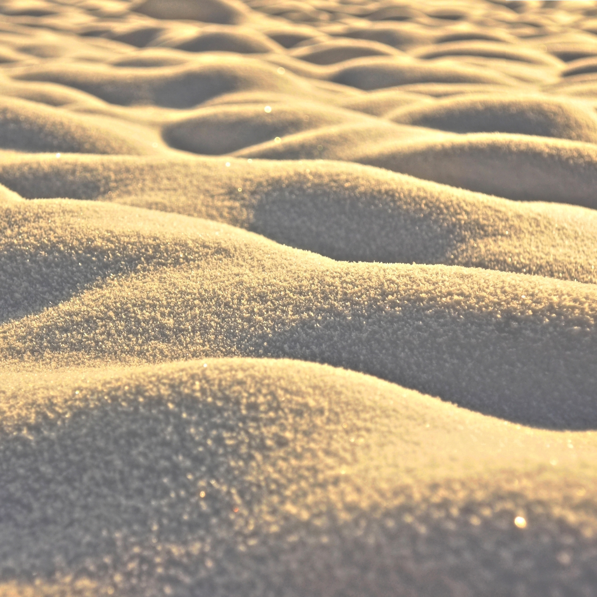 Песчаные бугры обои