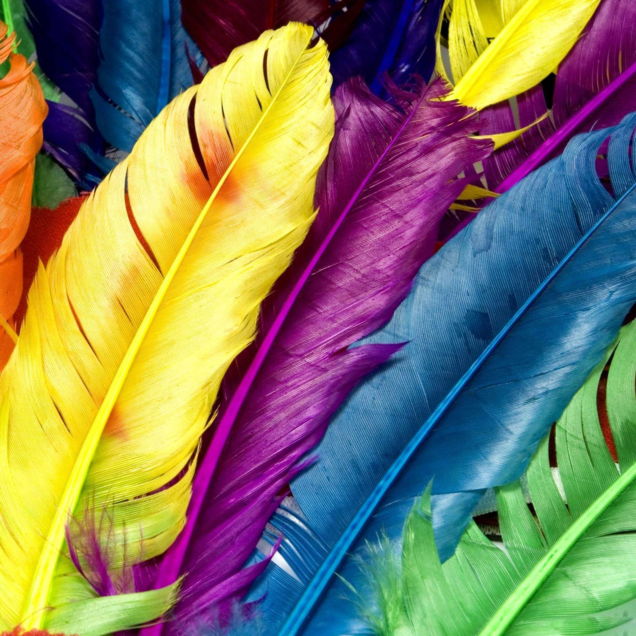 Разноцветные перья обои