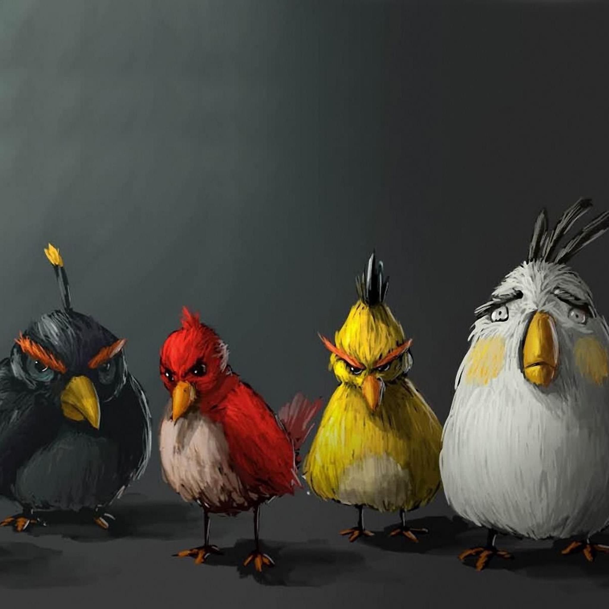 Злые птицы обои