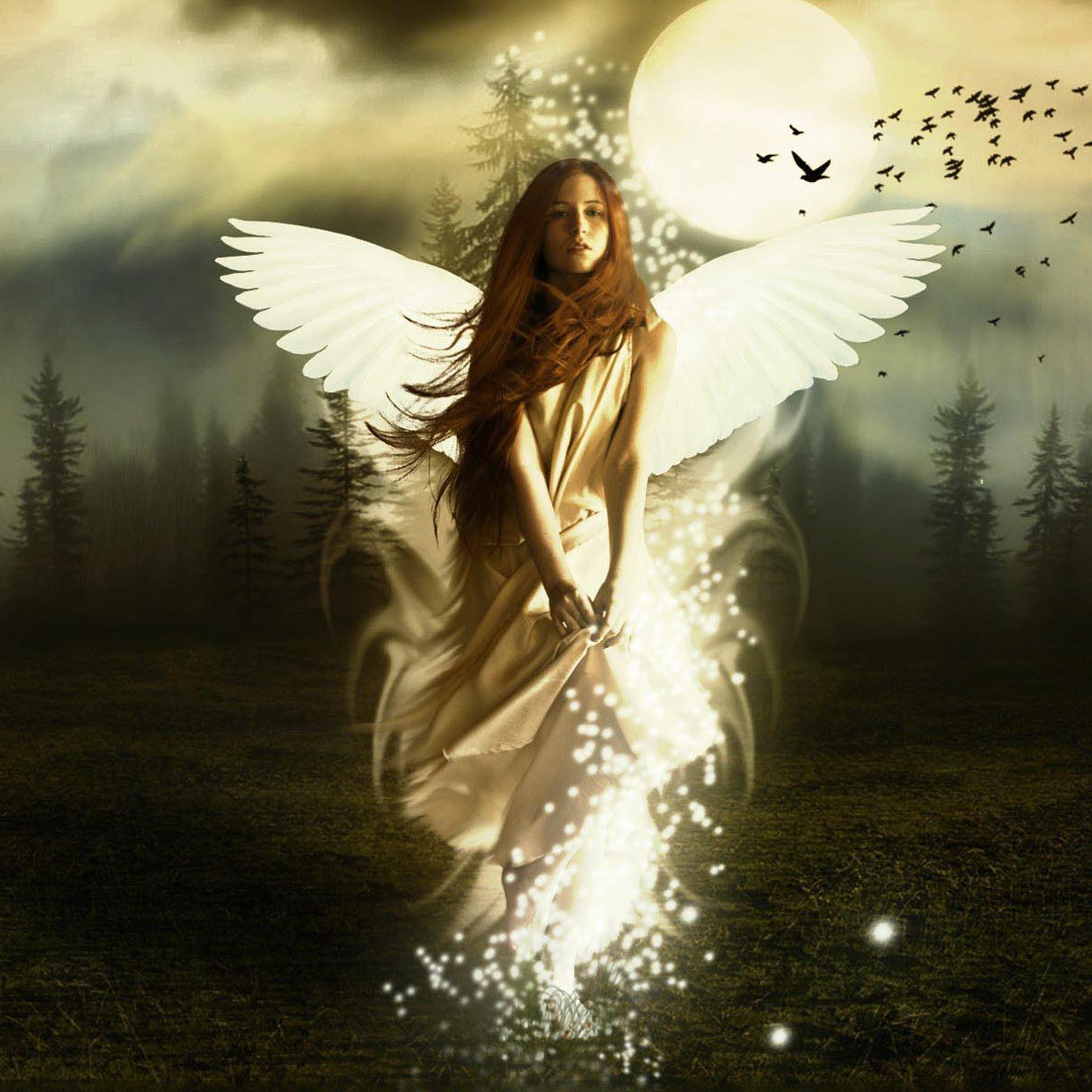 Девушка-ангел обои