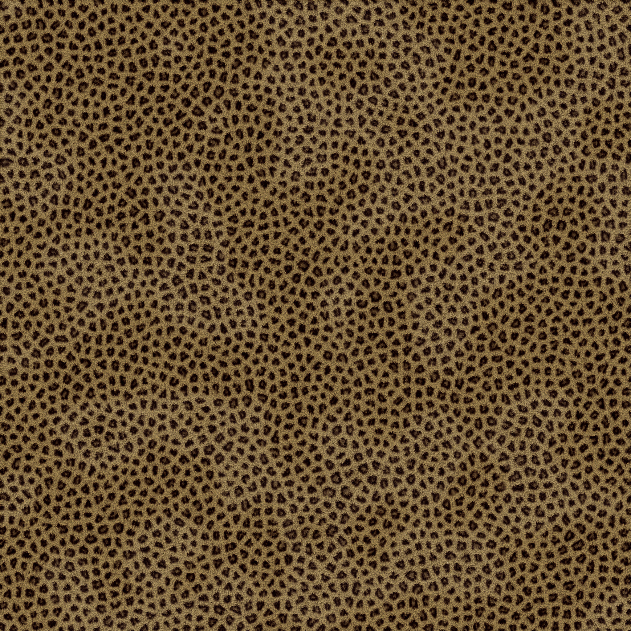 Пятнистая шкура обои