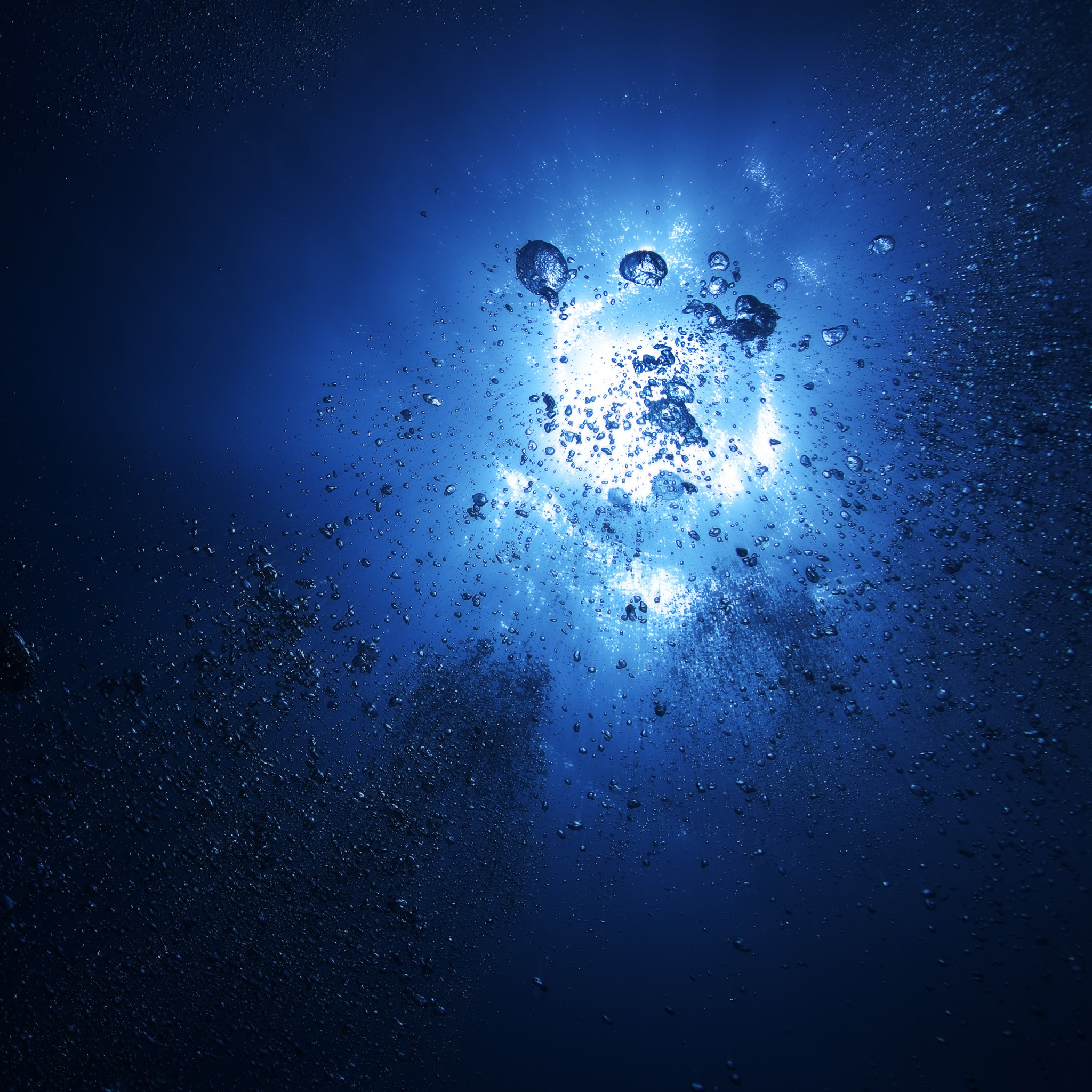 Всплывающие пузыри обои