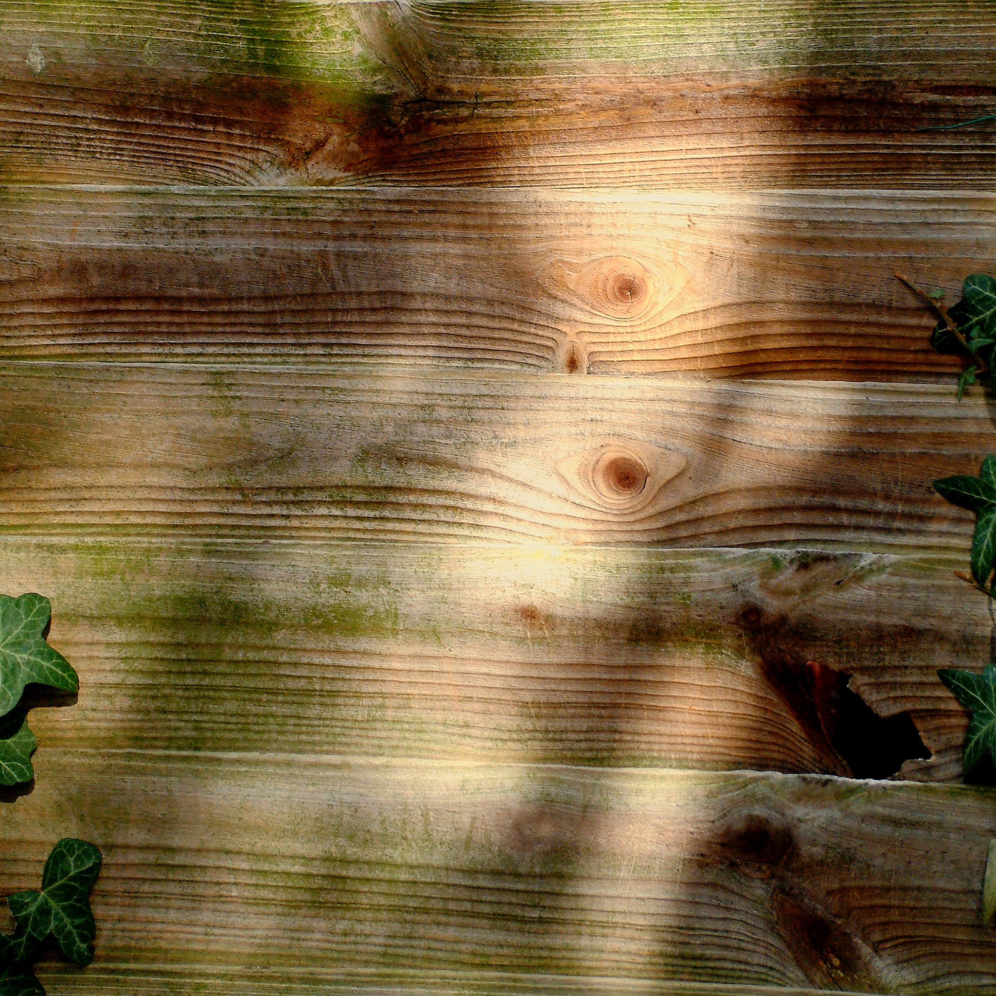 Деревянная поверхнуость обои