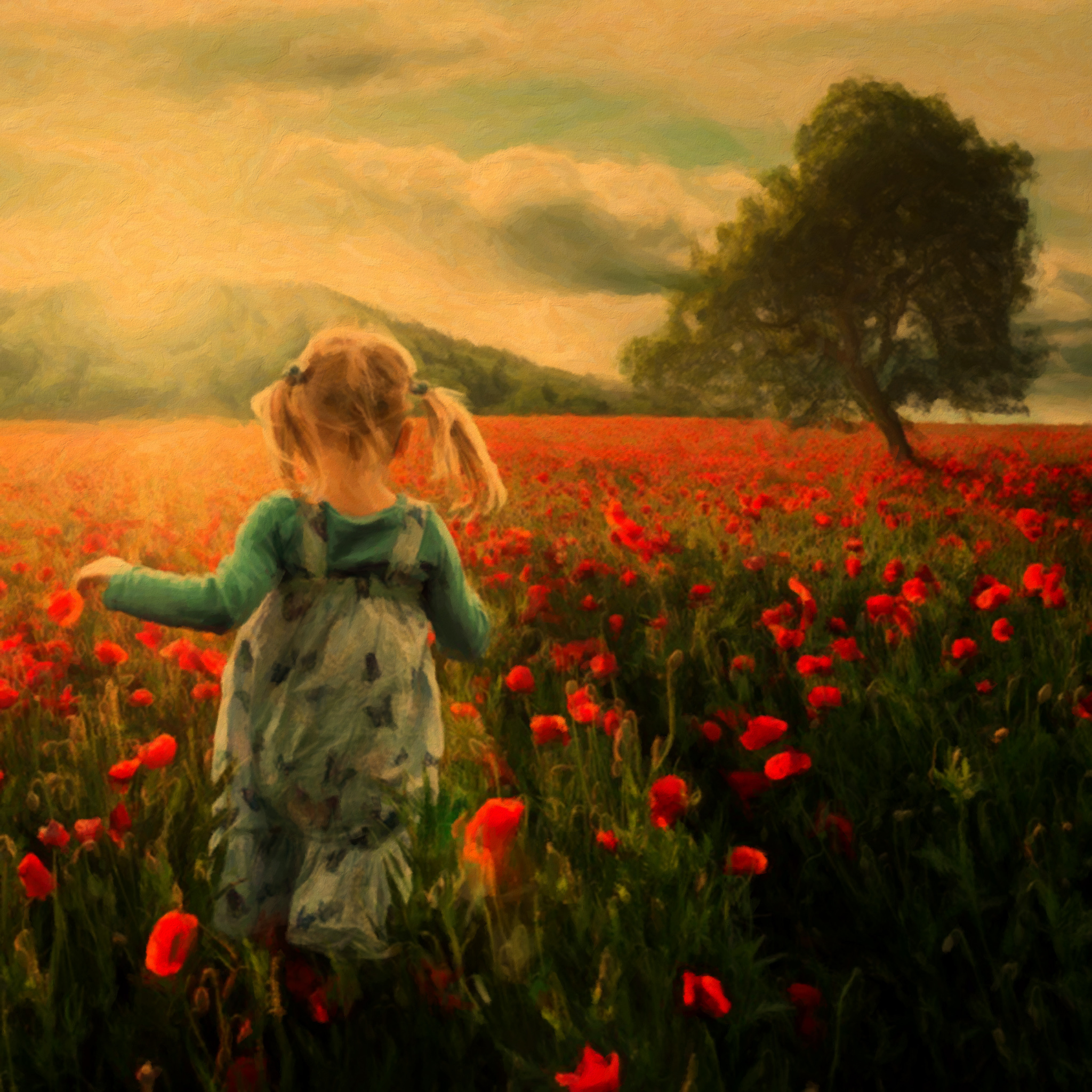 Девочка на маковом поле обои