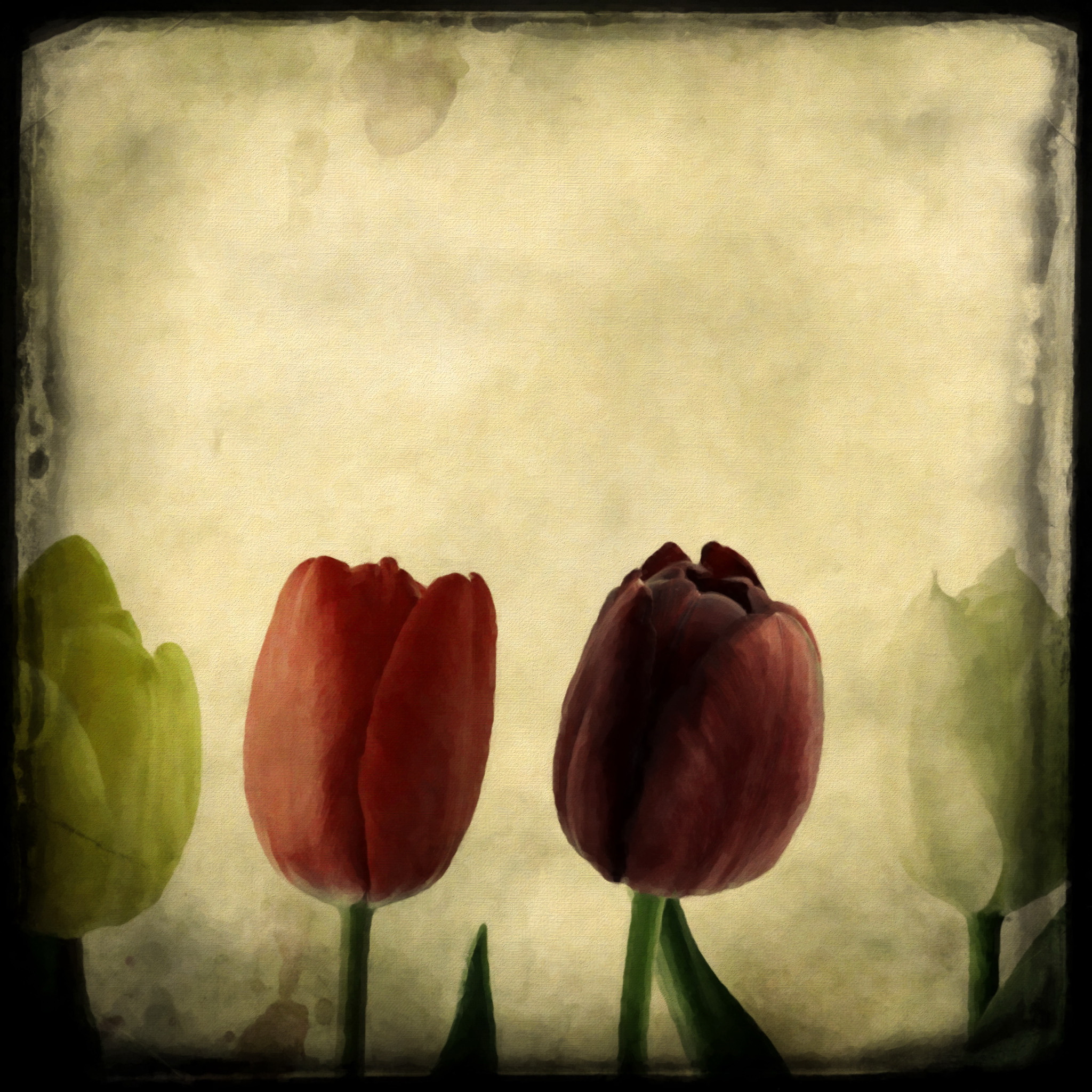 Нарисованные цветы обои