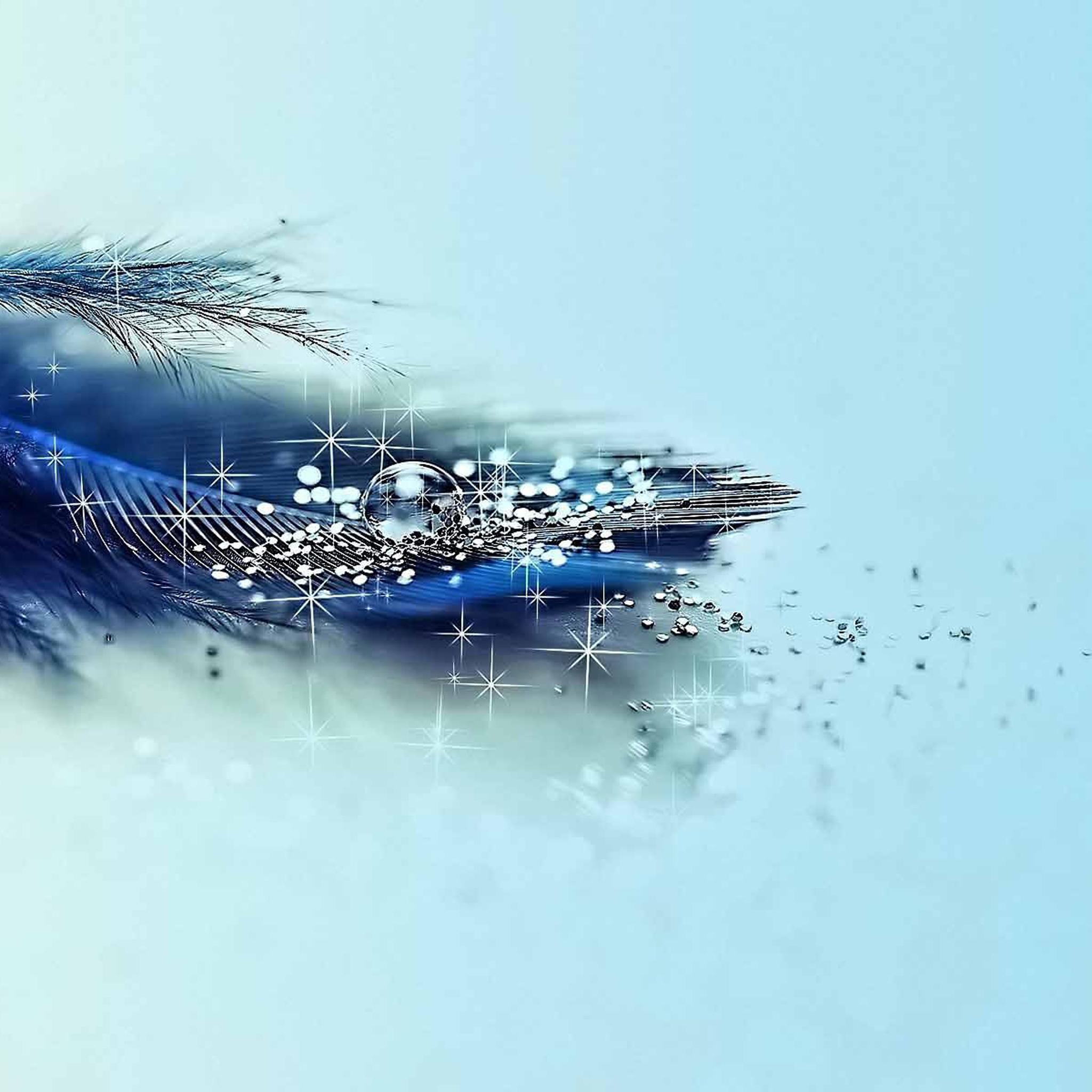 Волшебное перо обои