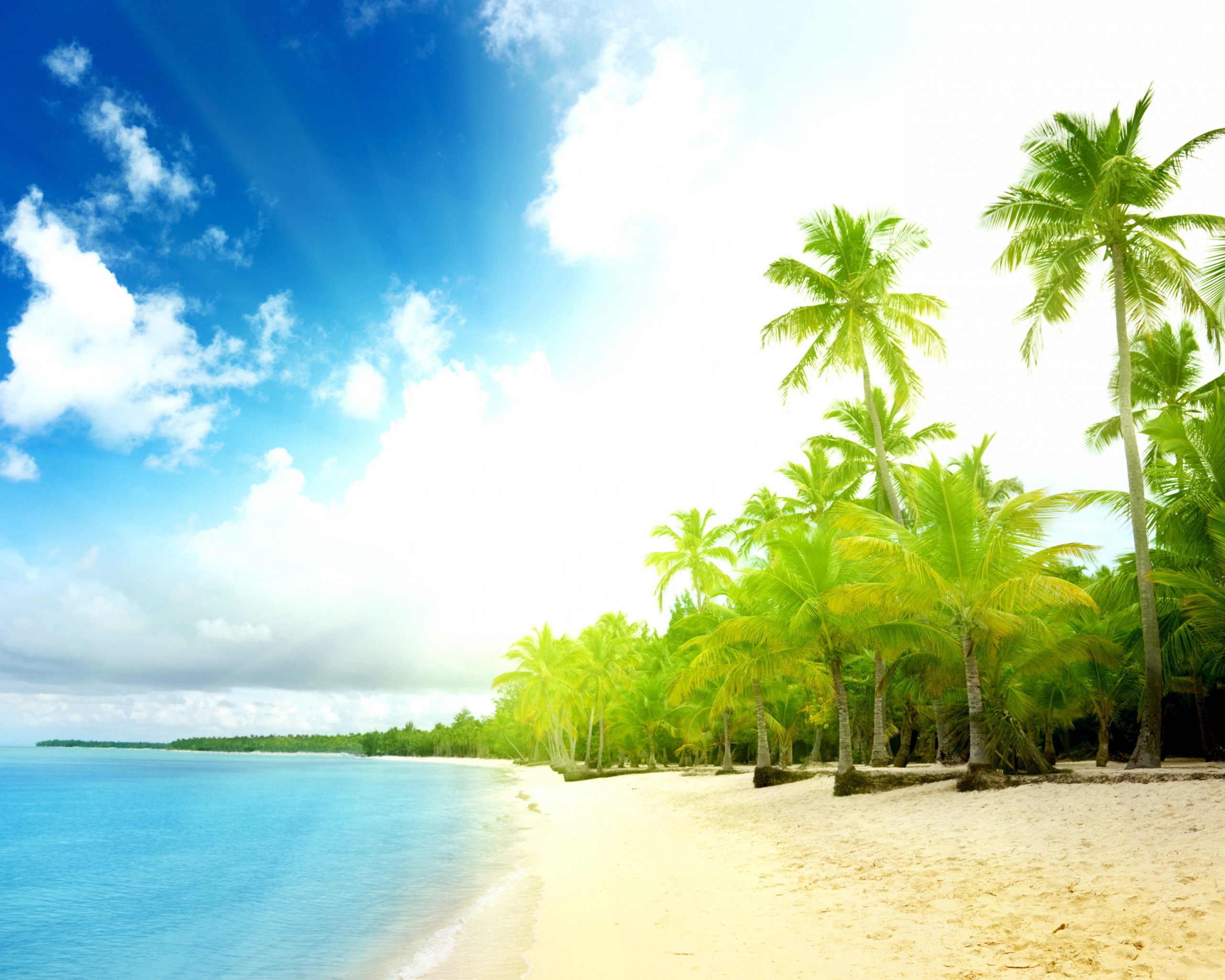 Тропическое побережье обои