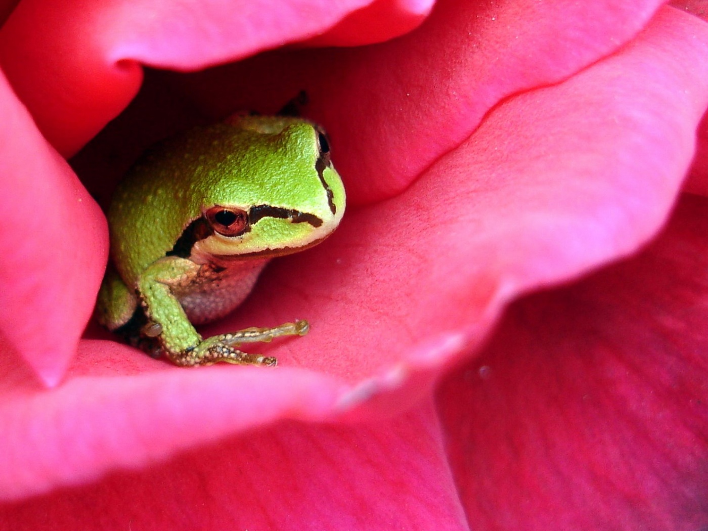 Куда это ты смотришь? обои