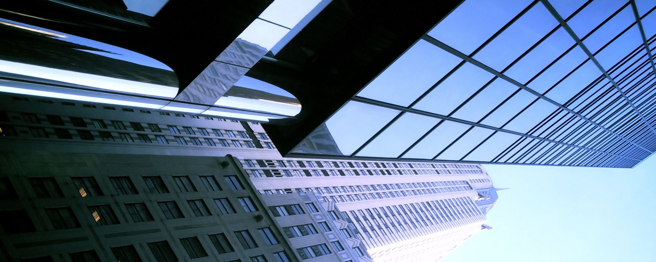 Взгляд вверх обои