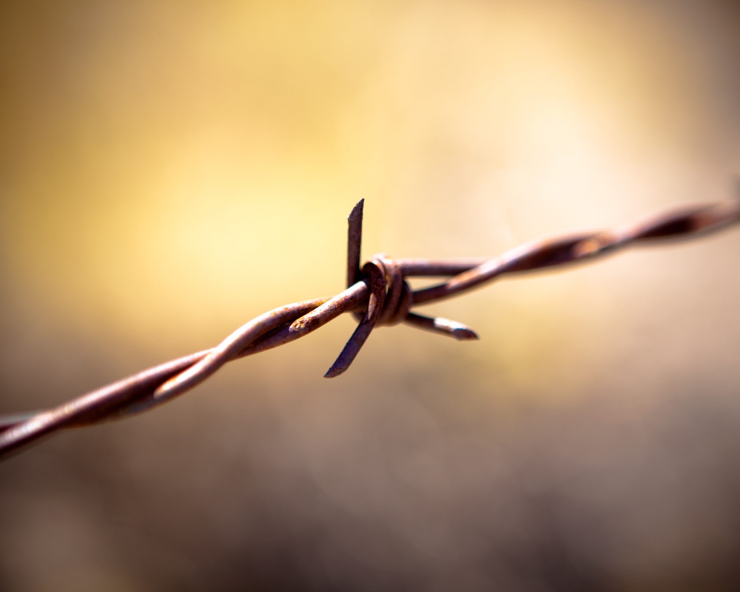 Фото колючей проволоки обои