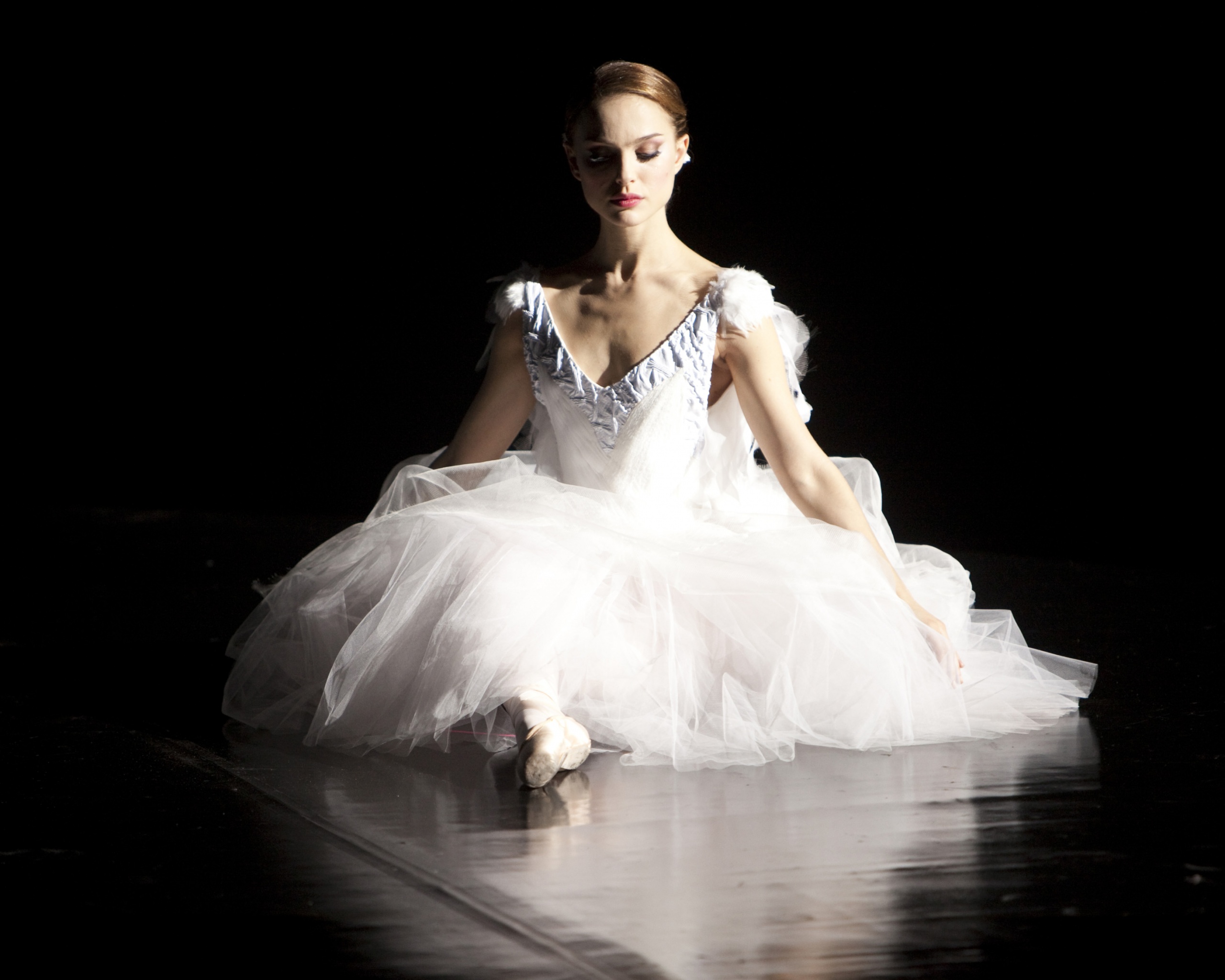 Черный лебедь обои