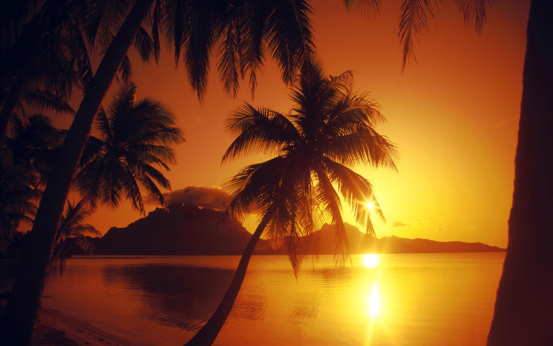 Закат в раю обои