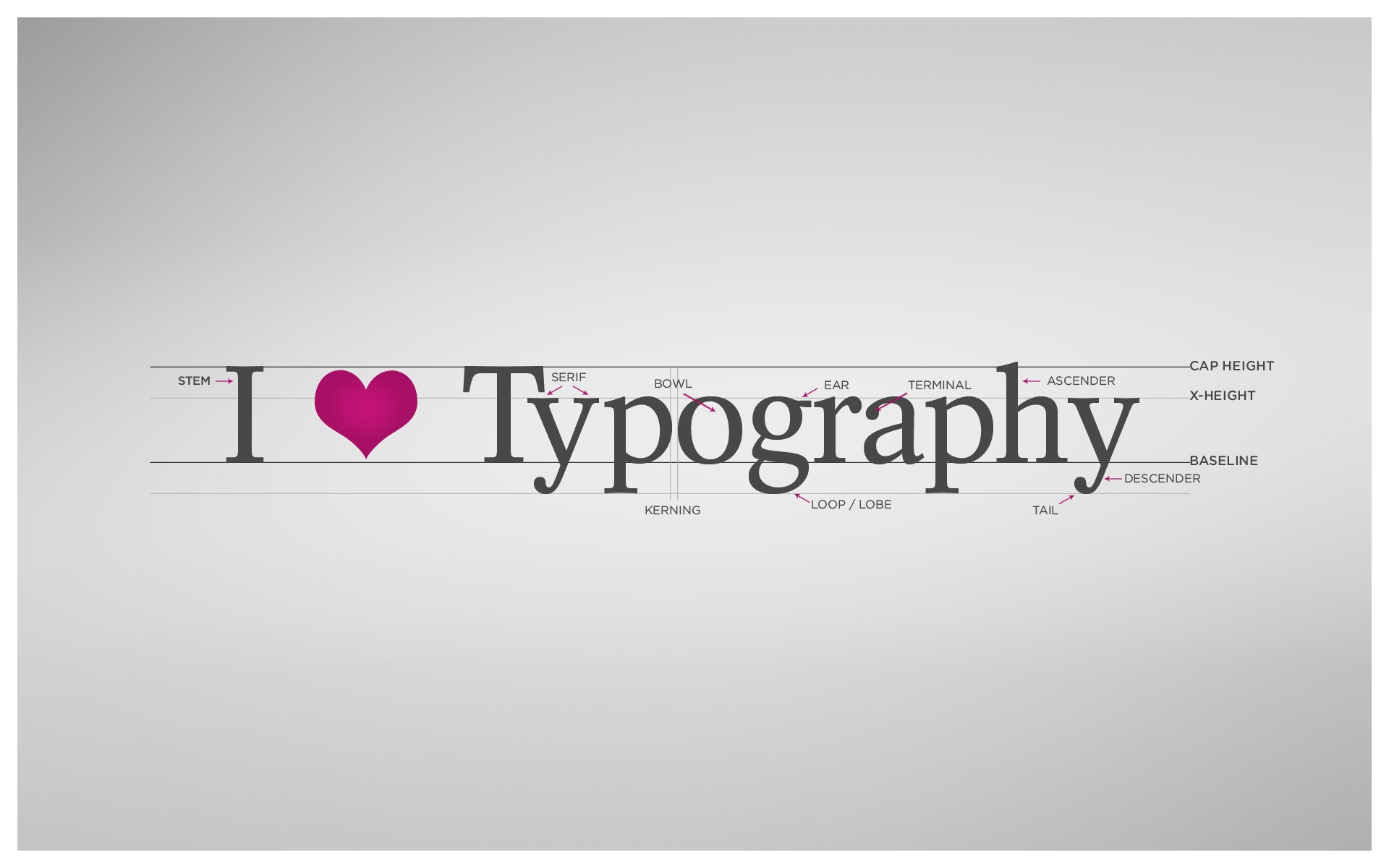I love typography обои