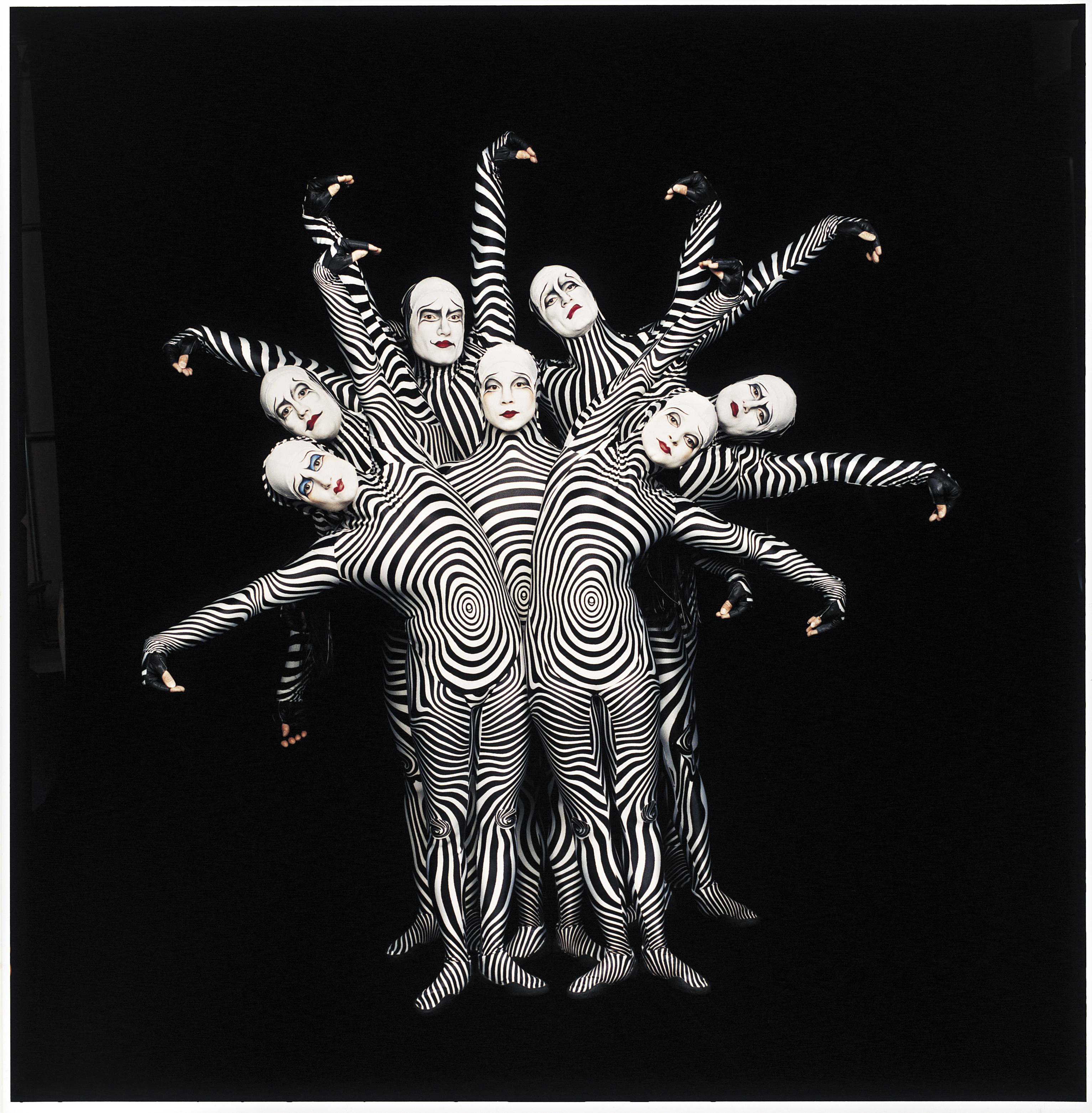 Зеброиды (актеры цирка дю солей) обои