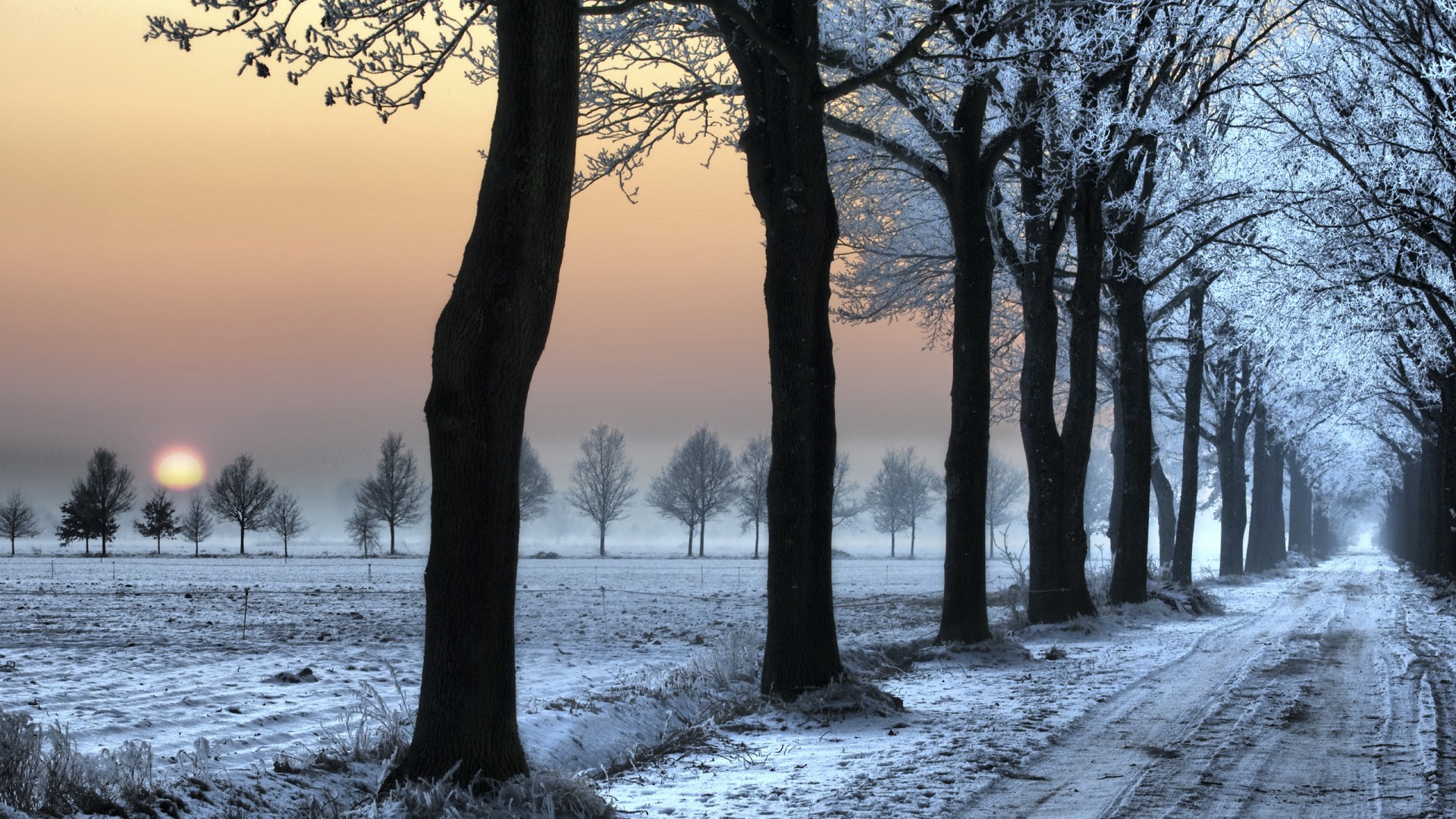 Морозное утро обои