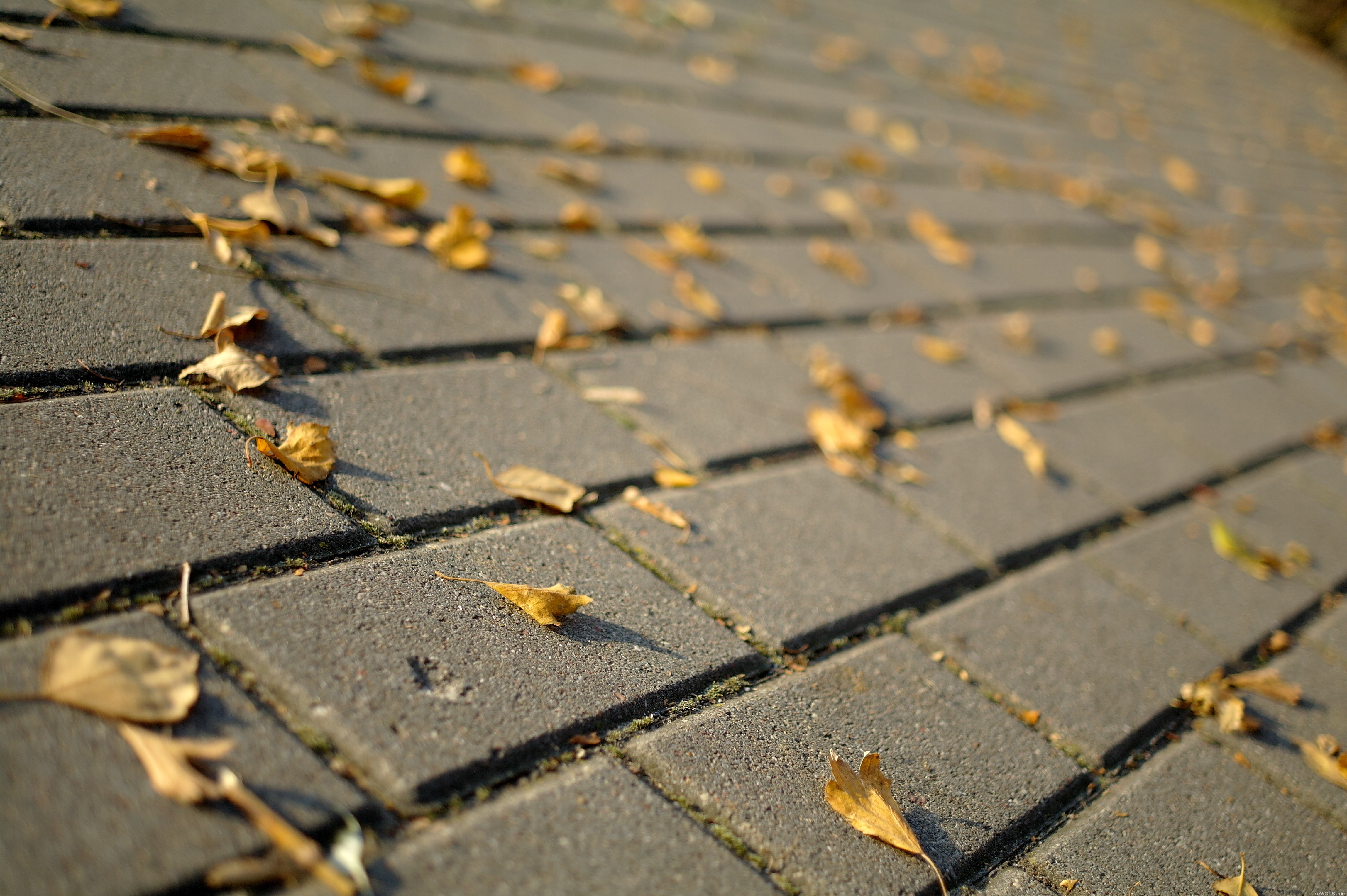 Тротуар обои