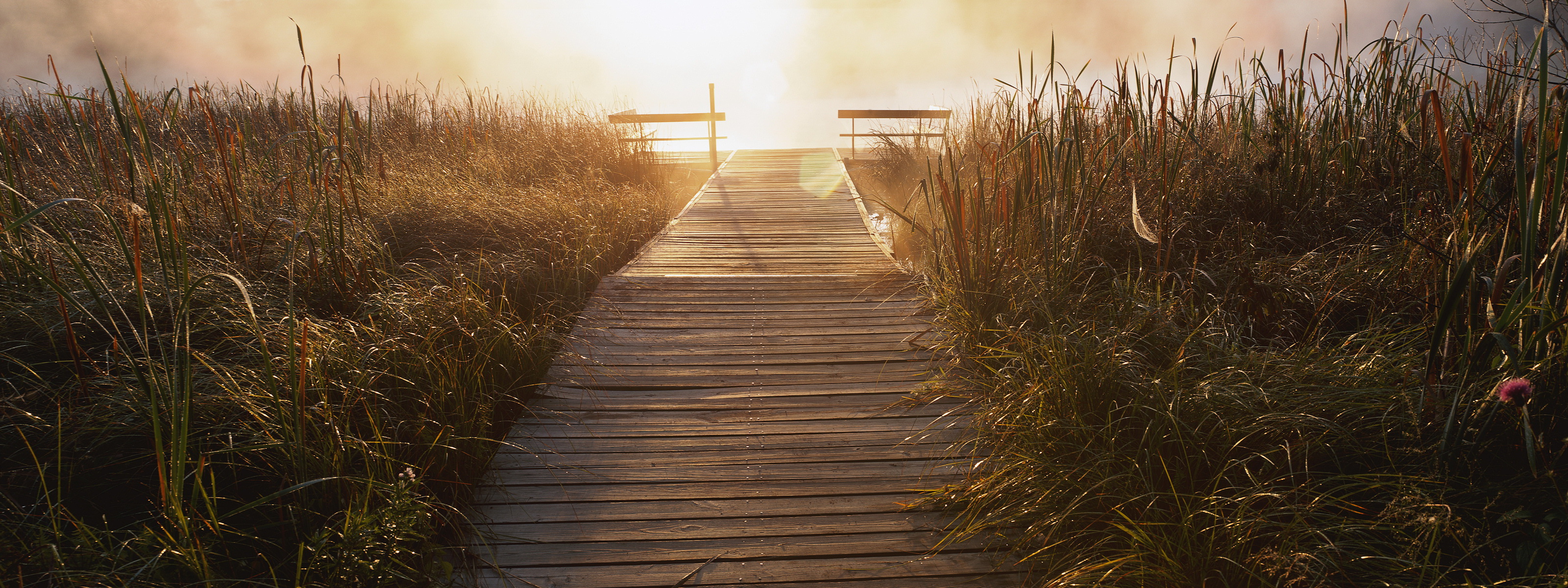 Выход к реке обои