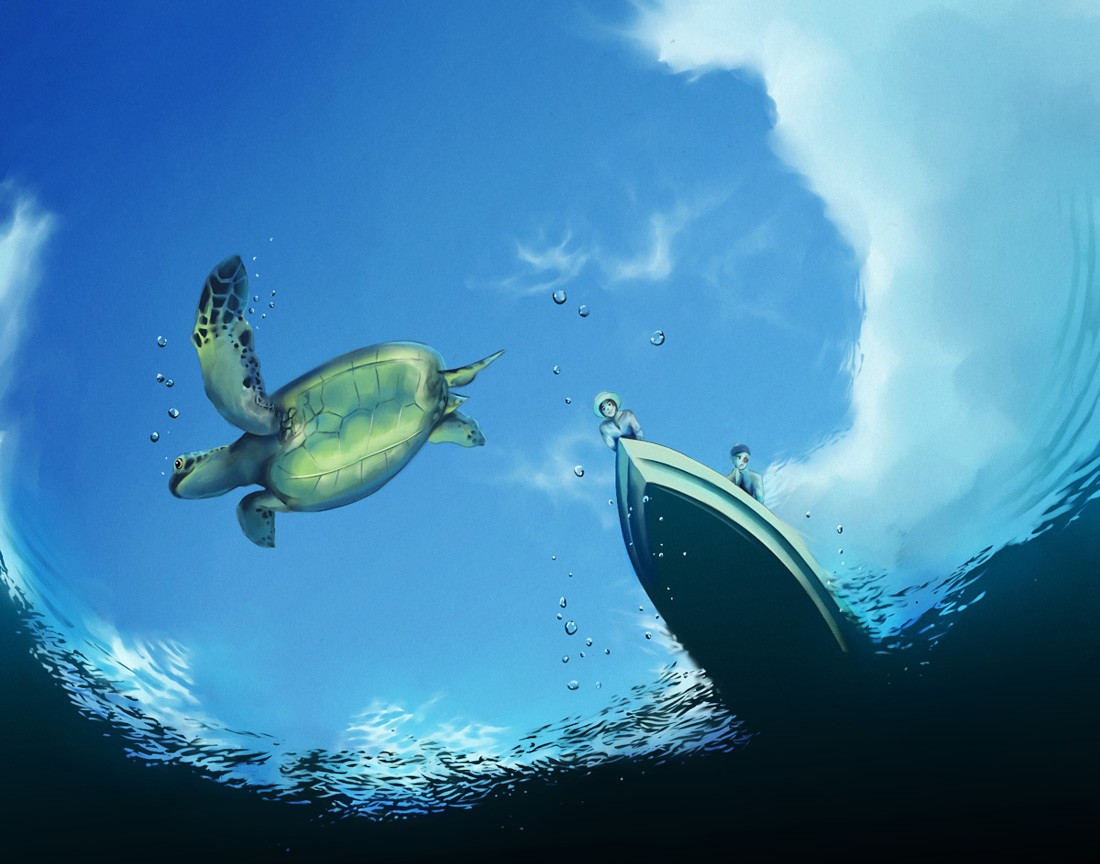 Катер и водная черепаха обои