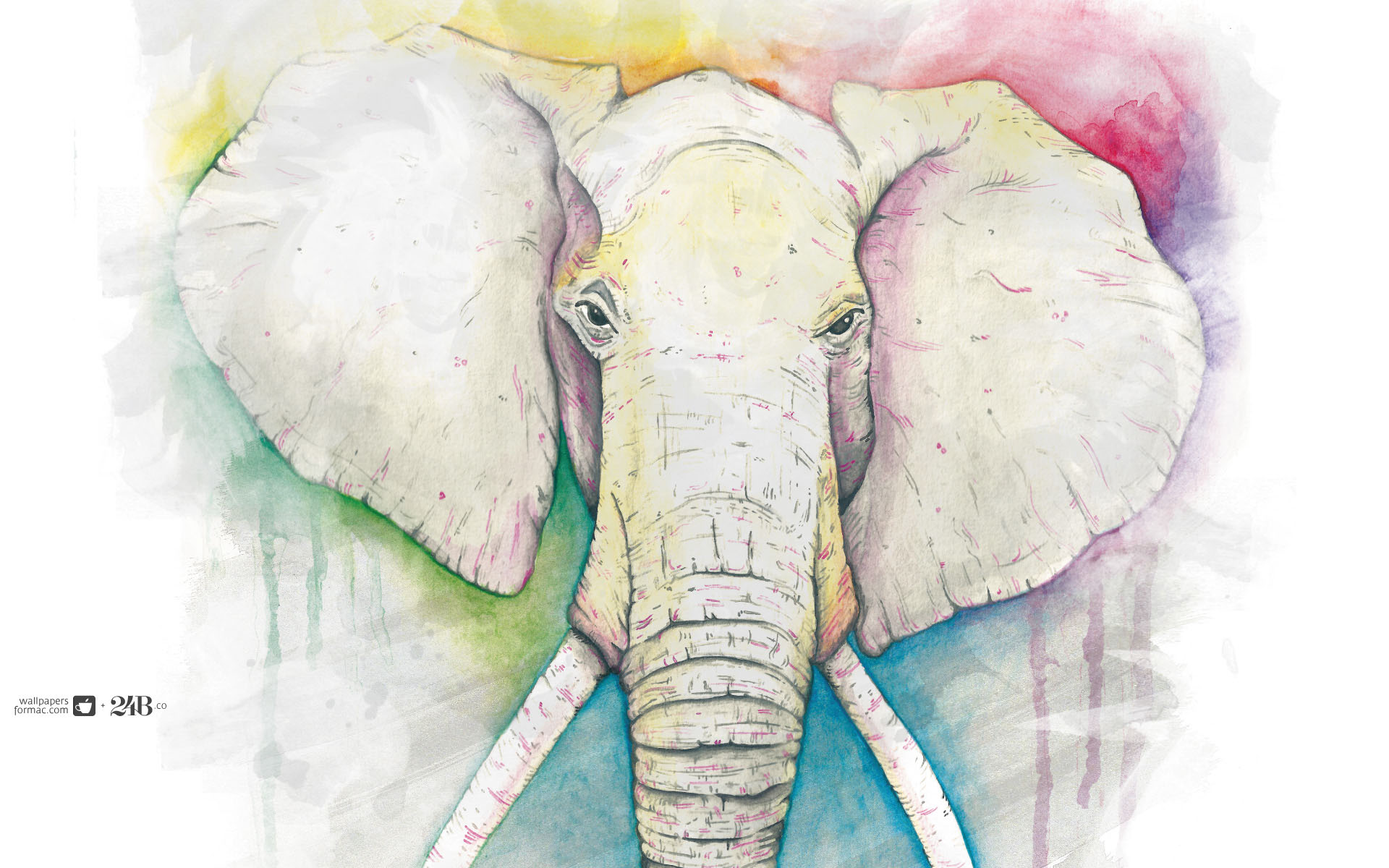 Слон обои