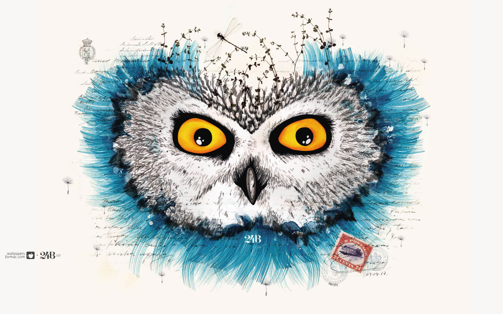 Обои сова для mac book обои