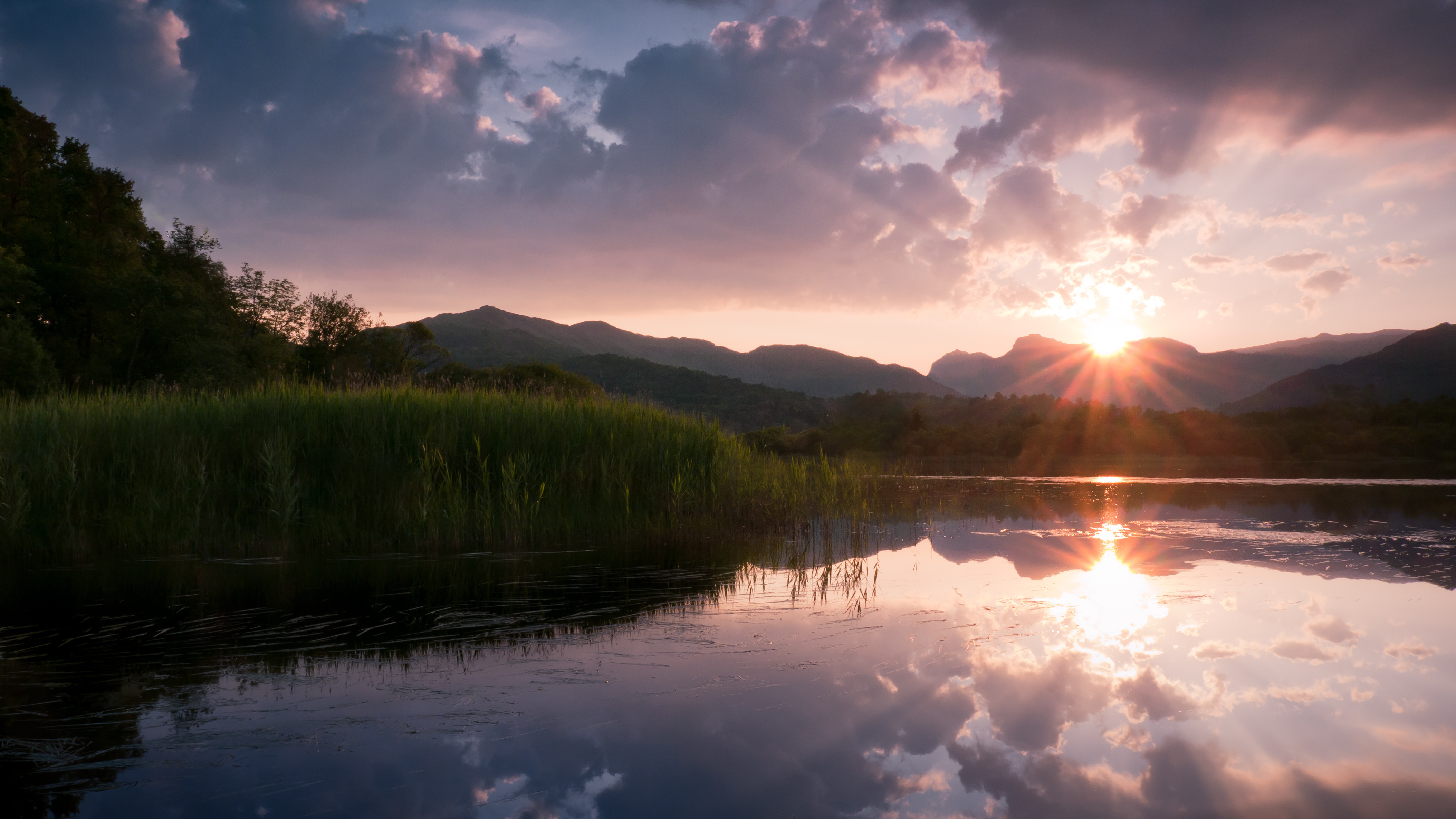 Закат за лесом обои