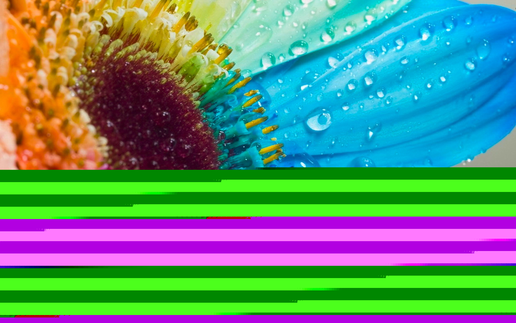 Цветик семицветик обои