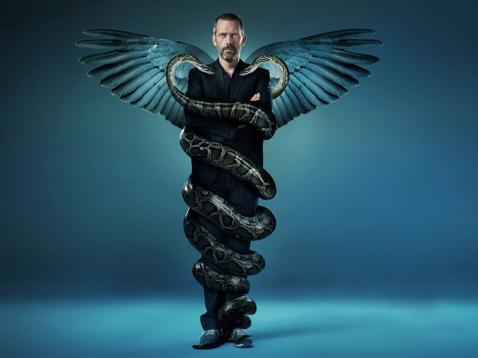 Заставка шестого сезона HOUSE M.D. обои