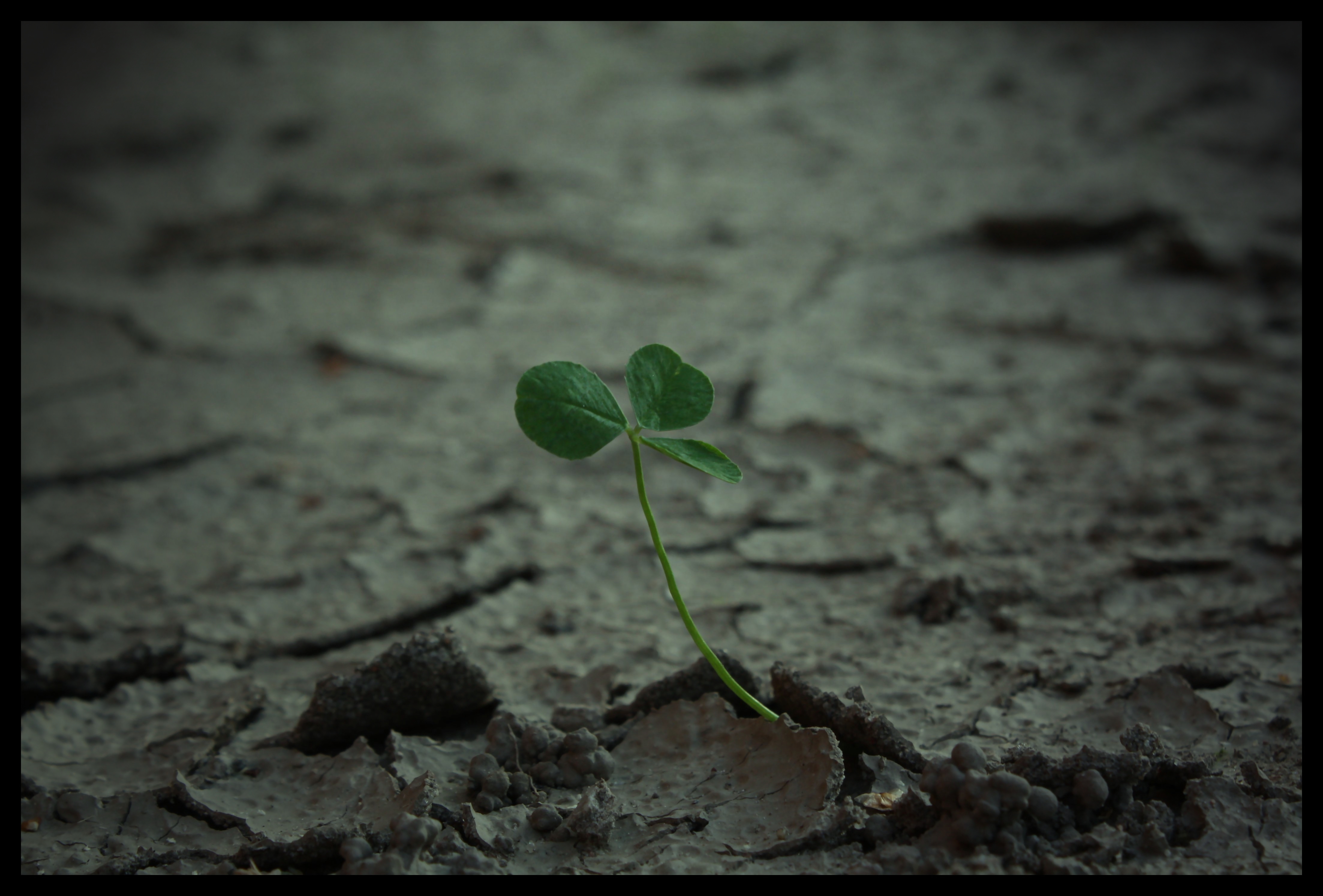 Сила природы обои