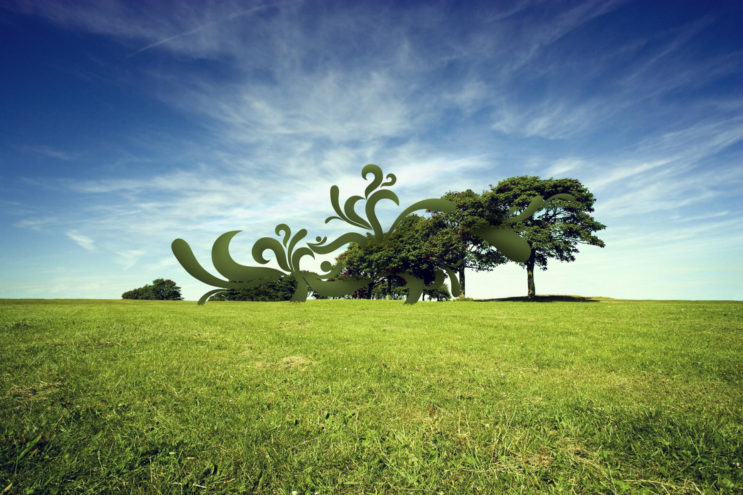 На равнине обои