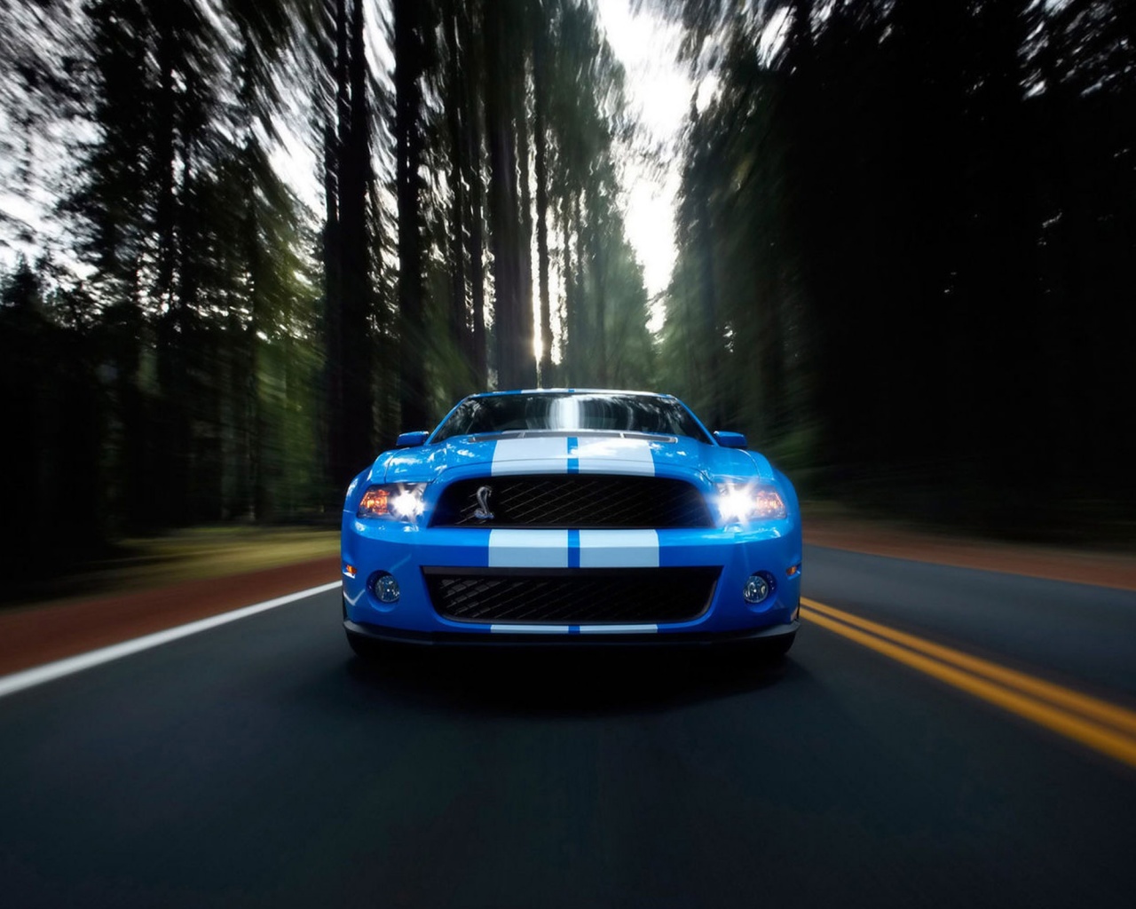 Форд Шелби обои