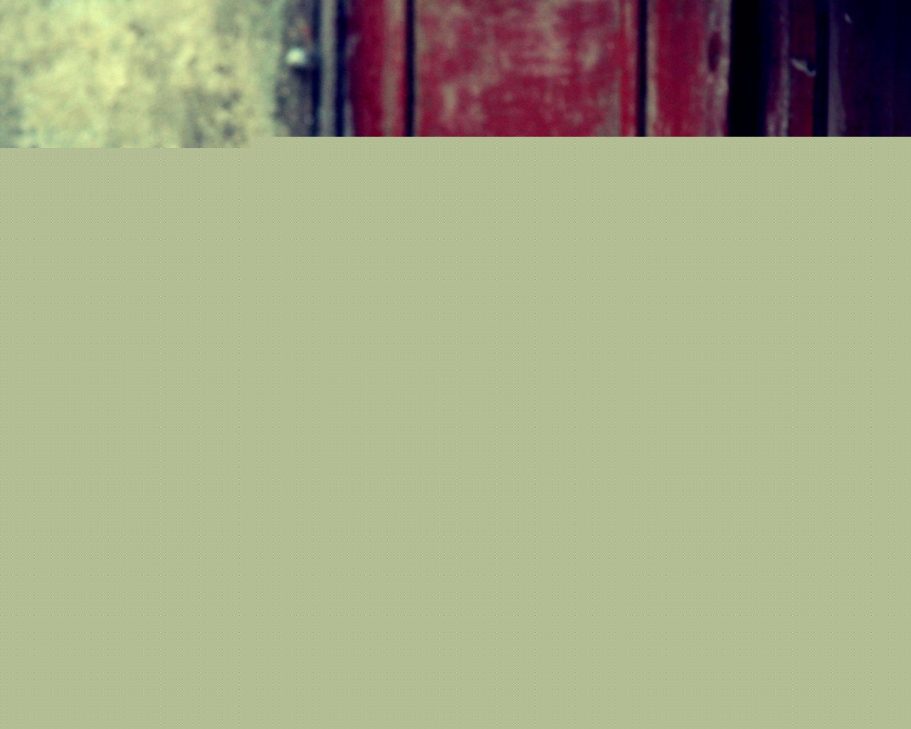 Кошечка на подстилке обои