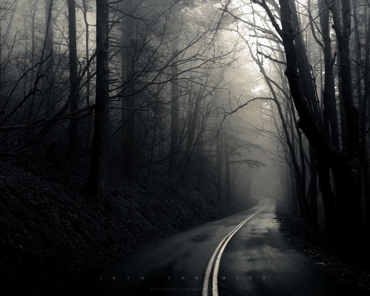 В туман обои