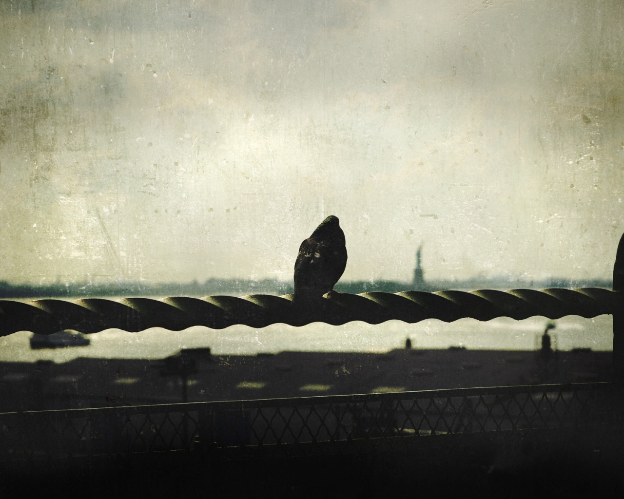 Голубь в Нью-Йоркских доках обои