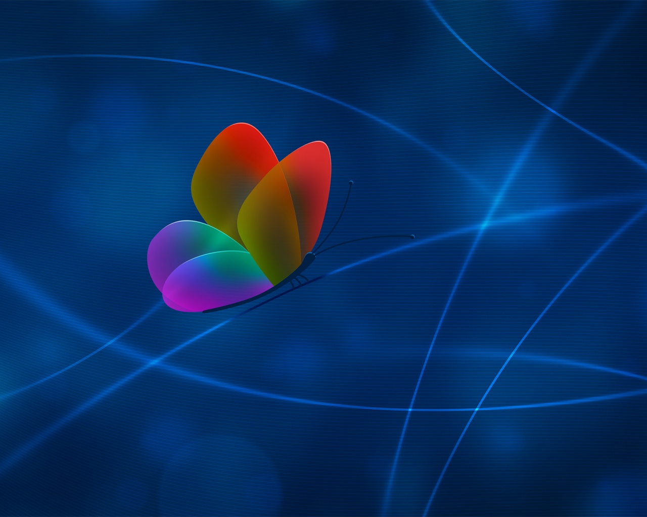 Бабочка с радужными крыльями обои