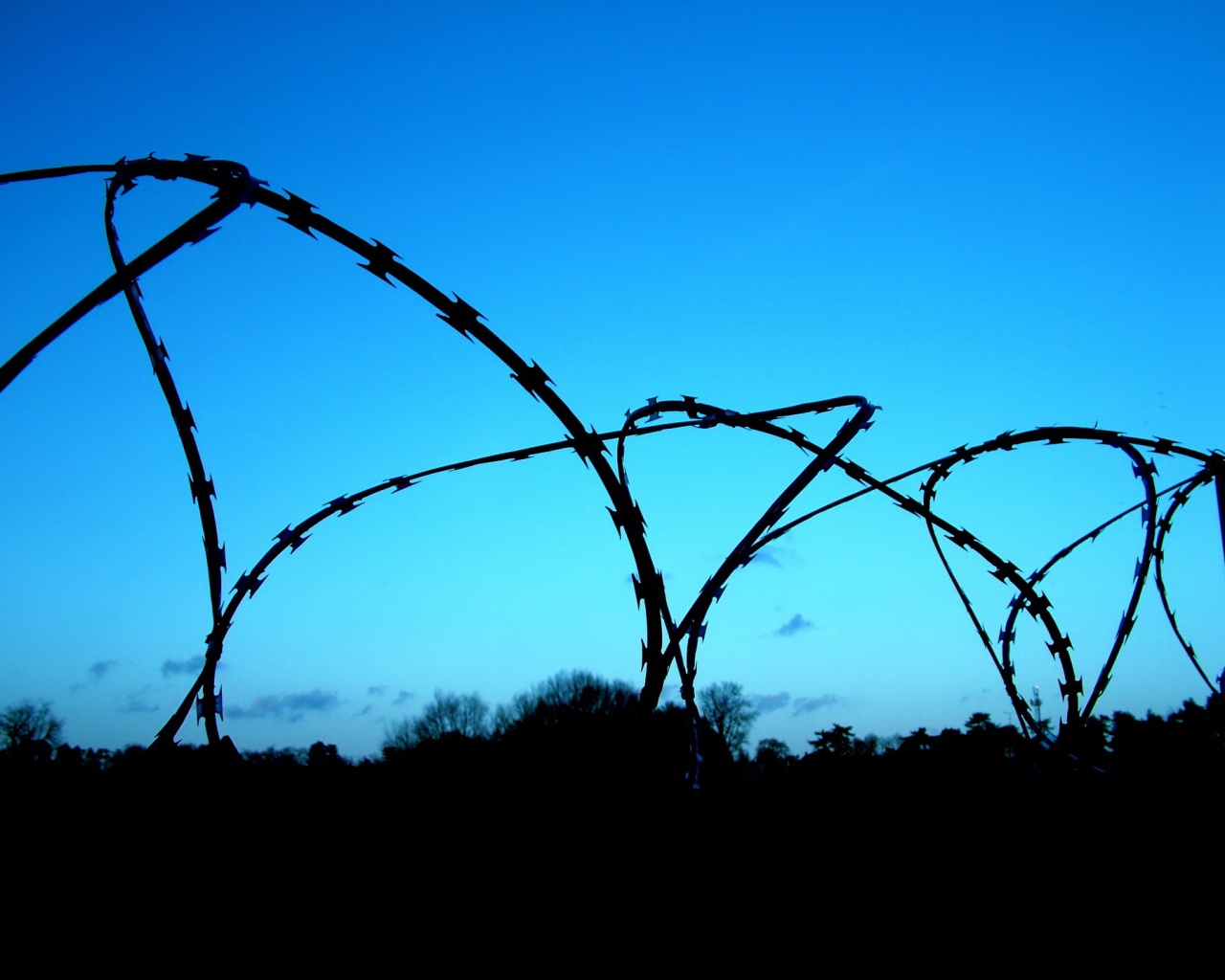 Колючая проволка обои