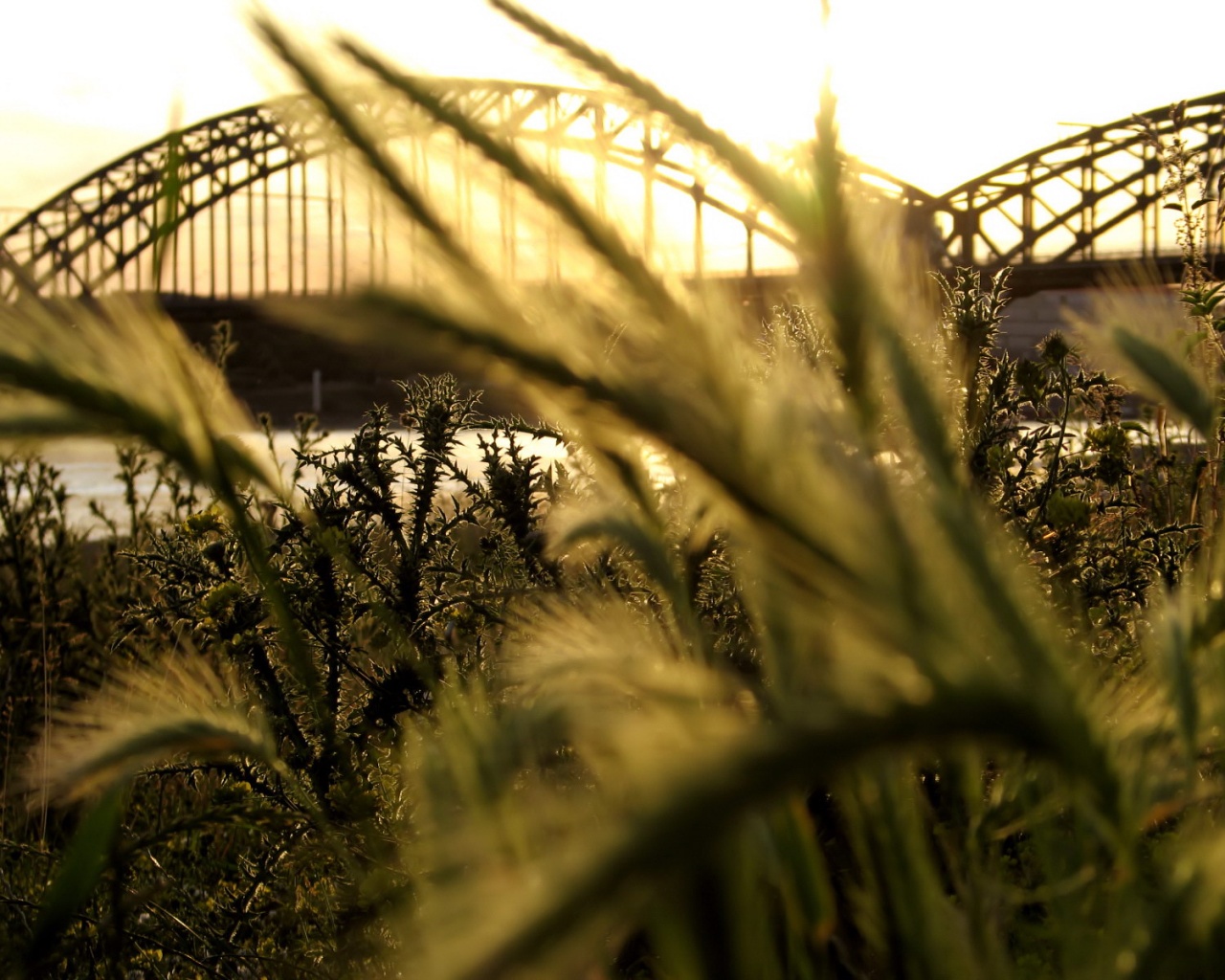 Железнодорожный мост обои