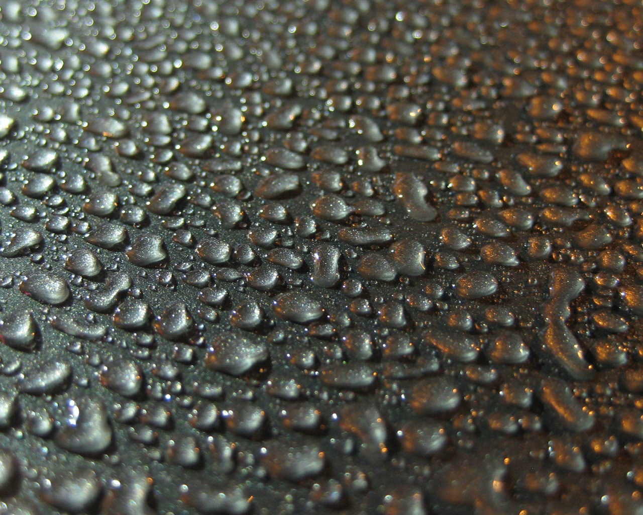 Вода собирается в капли обои