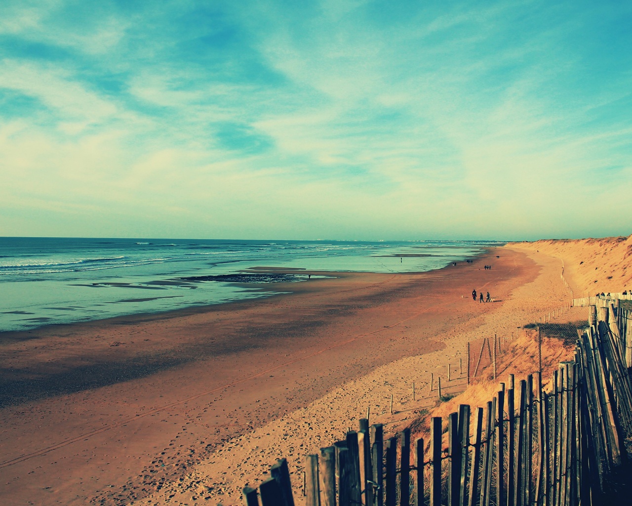 Обмелевший берег обои