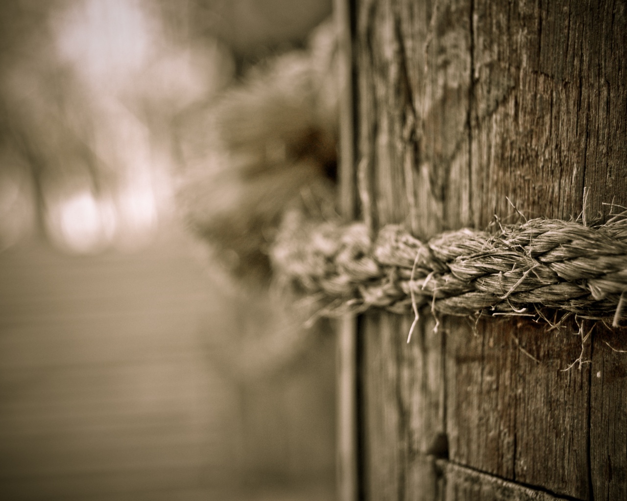 Веревка на деревянном столбе обои